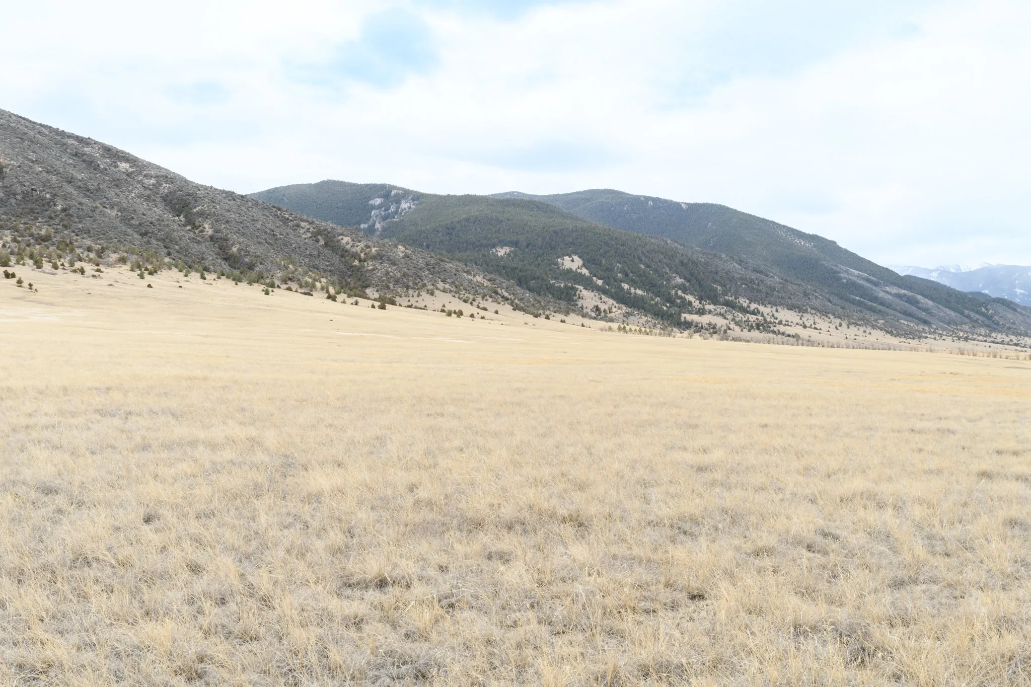 TBD Point of Rocks Rd, Whitehall MT- March 2026 (22).JPG