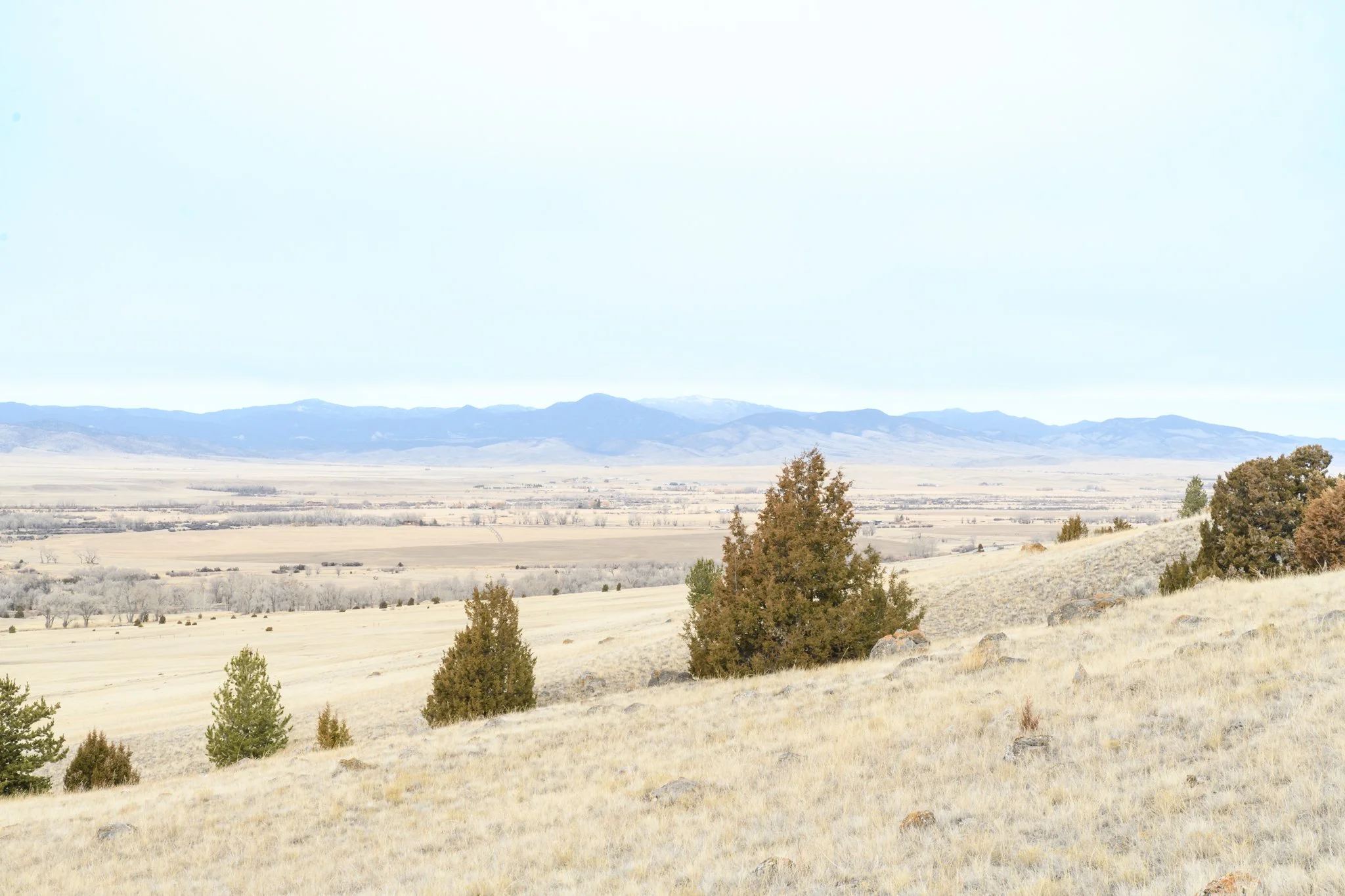 TBD Point of Rocks Rd, Whitehall MT- March 2026 (8).JPG