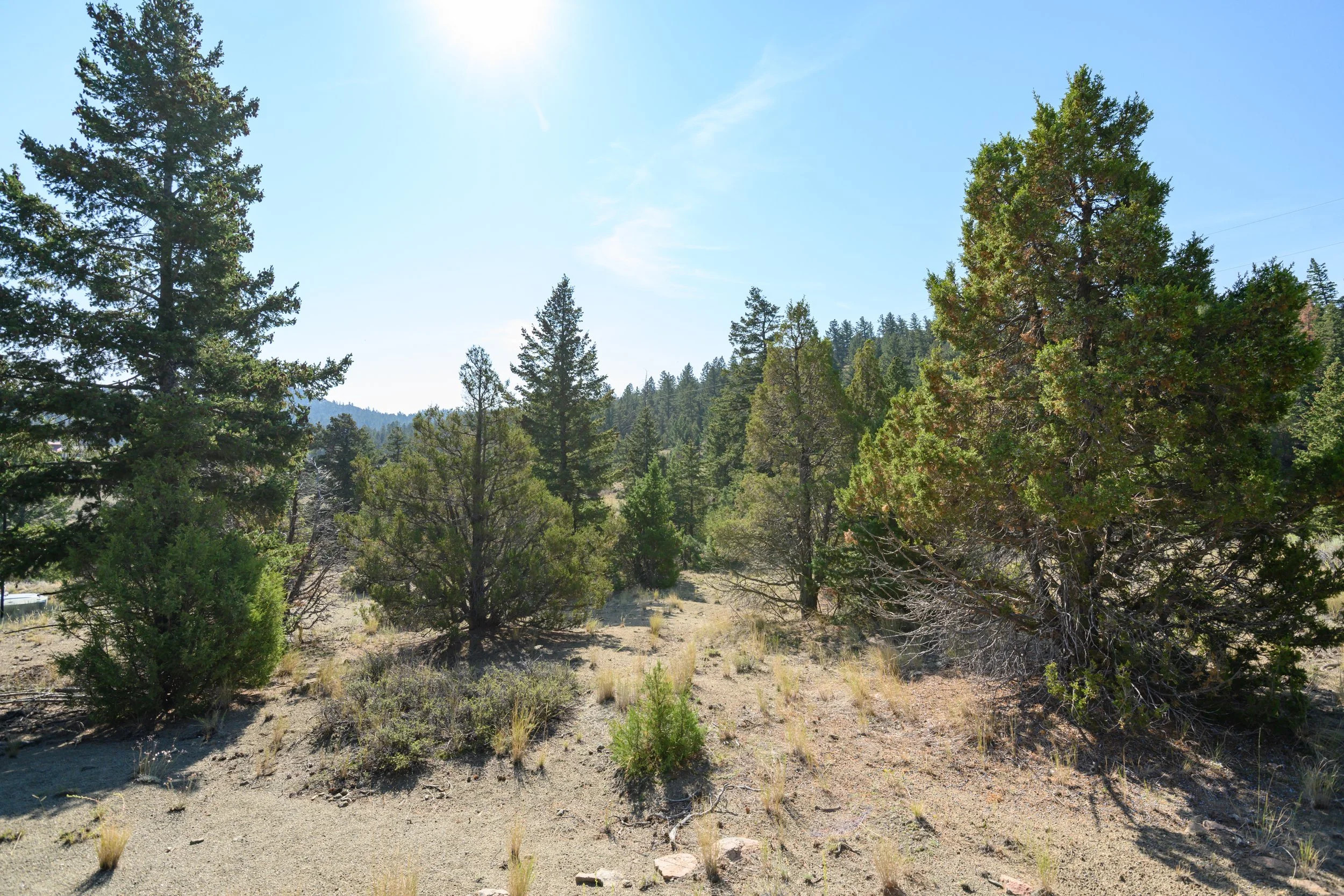 37 Cox Lane Whitehall (14).jpg