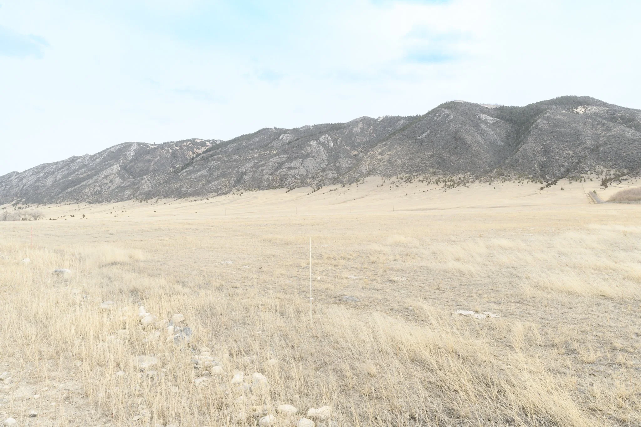 TBD Point of Rocks Rd, Whitehall MT- March 2026 (19).JPG