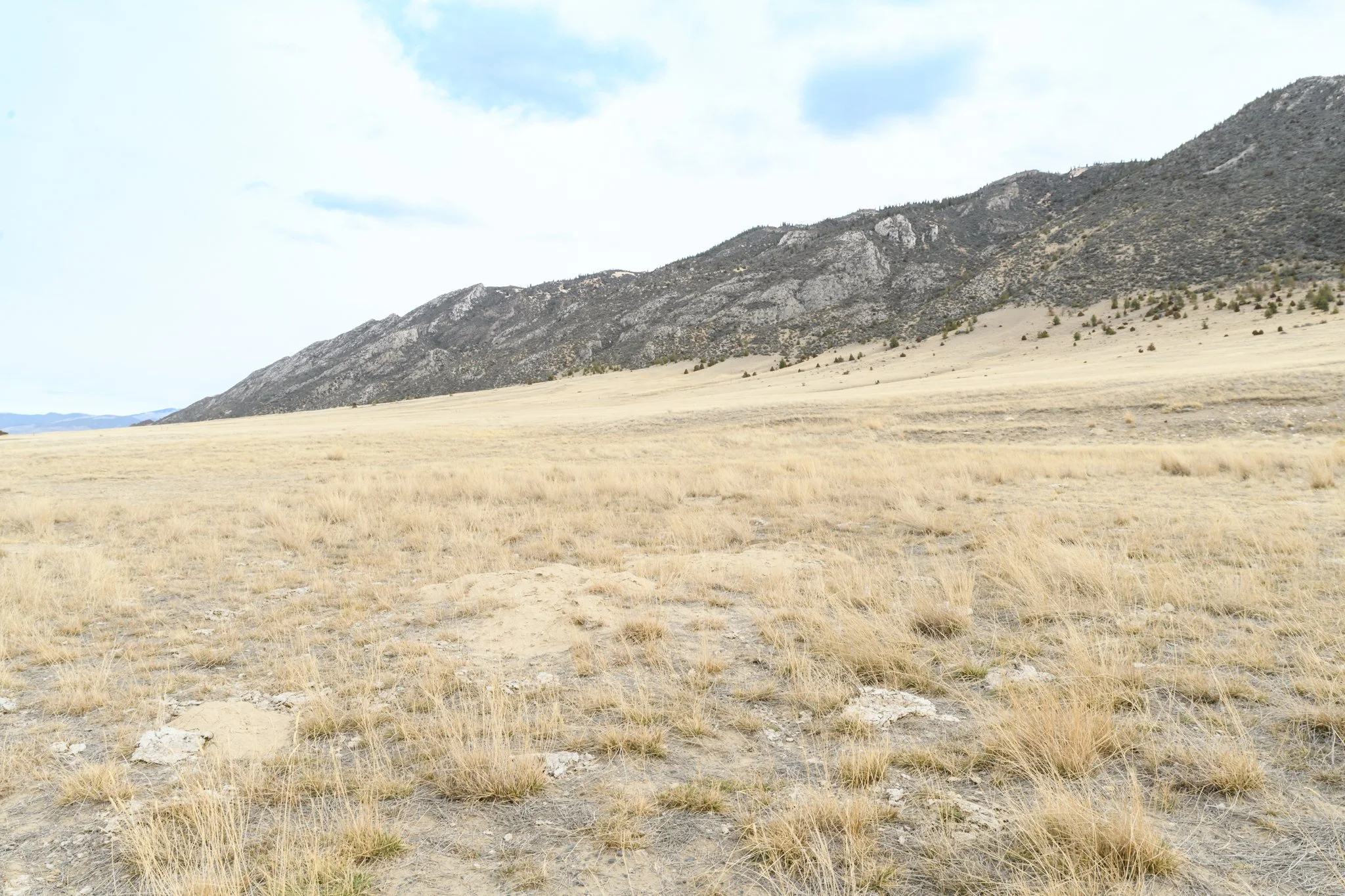 TBD Point of Rocks Rd, Whitehall MT- March 2026 (13).JPG