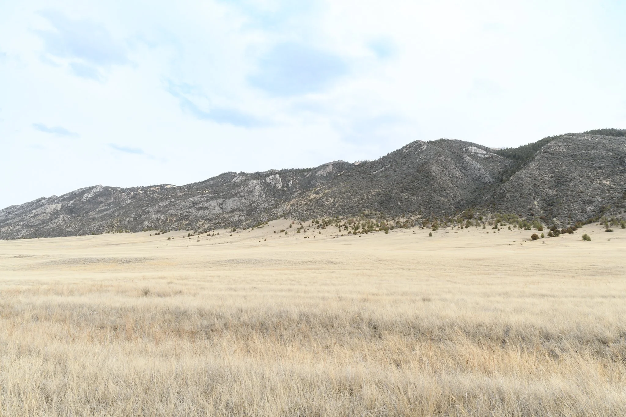 TBD Point of Rocks Rd, Whitehall MT- March 2026 (9).JPG