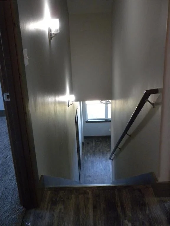 54 Western Larch 17.jpg