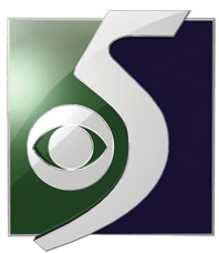 WNEM logo.png