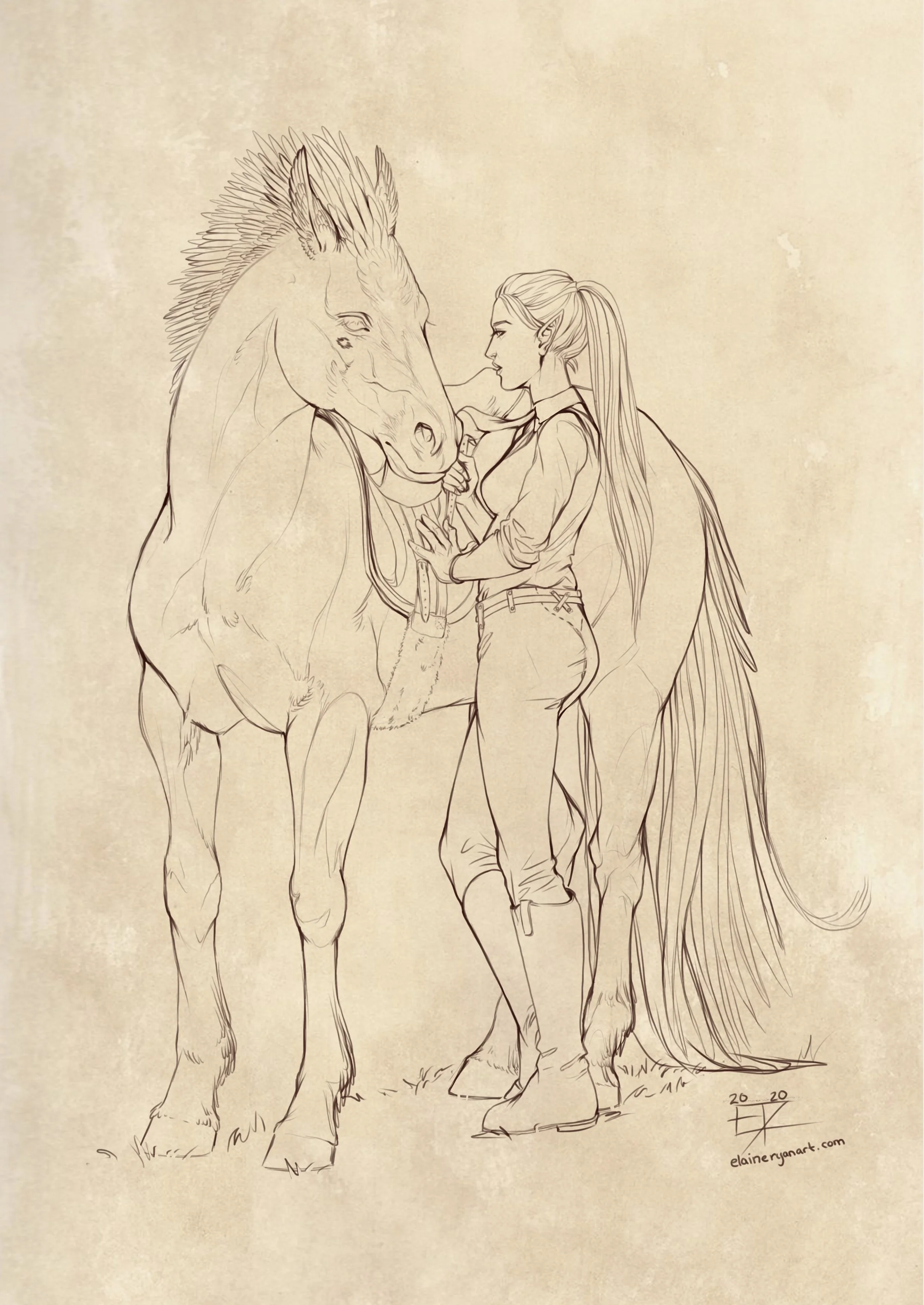Sketch of elf woman with horse, wearing riding attire, on parchment background. Painted by Elaine Ryan Art
