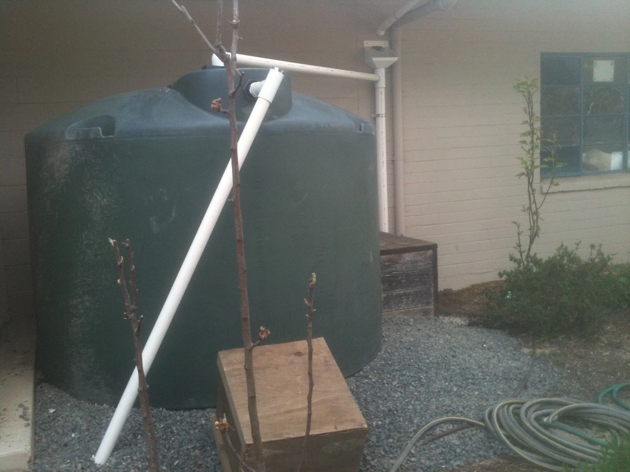 Cavanaug Center Rainwater Distribution