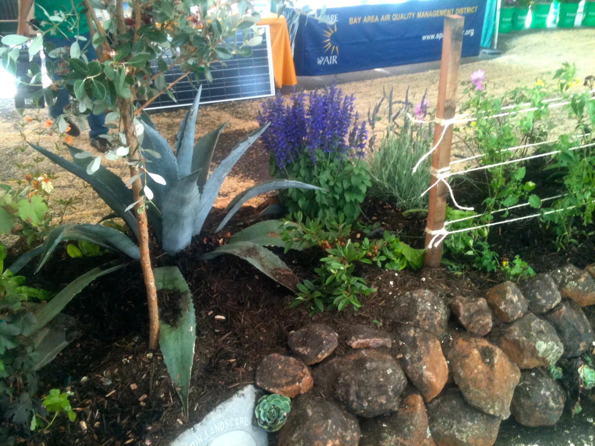 Graywater Garden Eco-Display