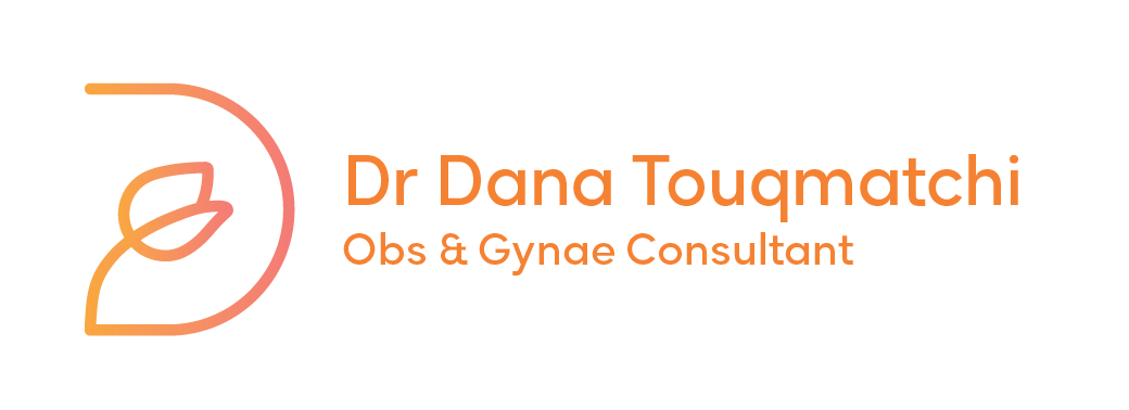 Dana Touqmatchi