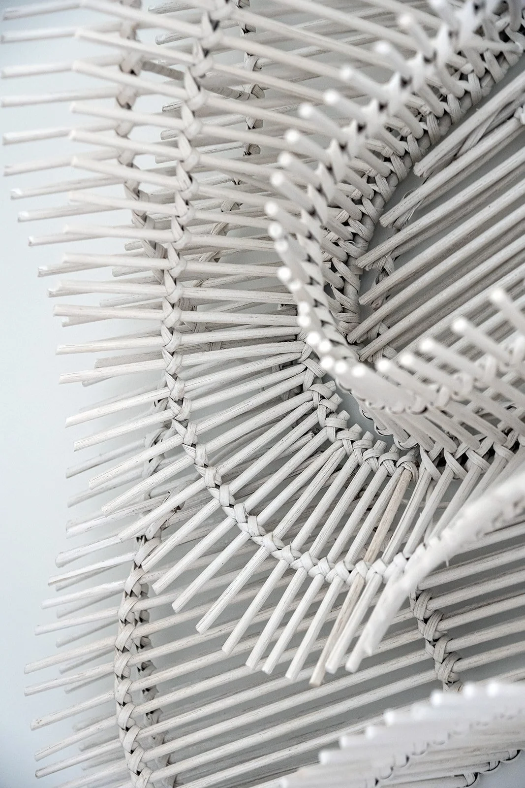 Meg McCollum.777.jpg