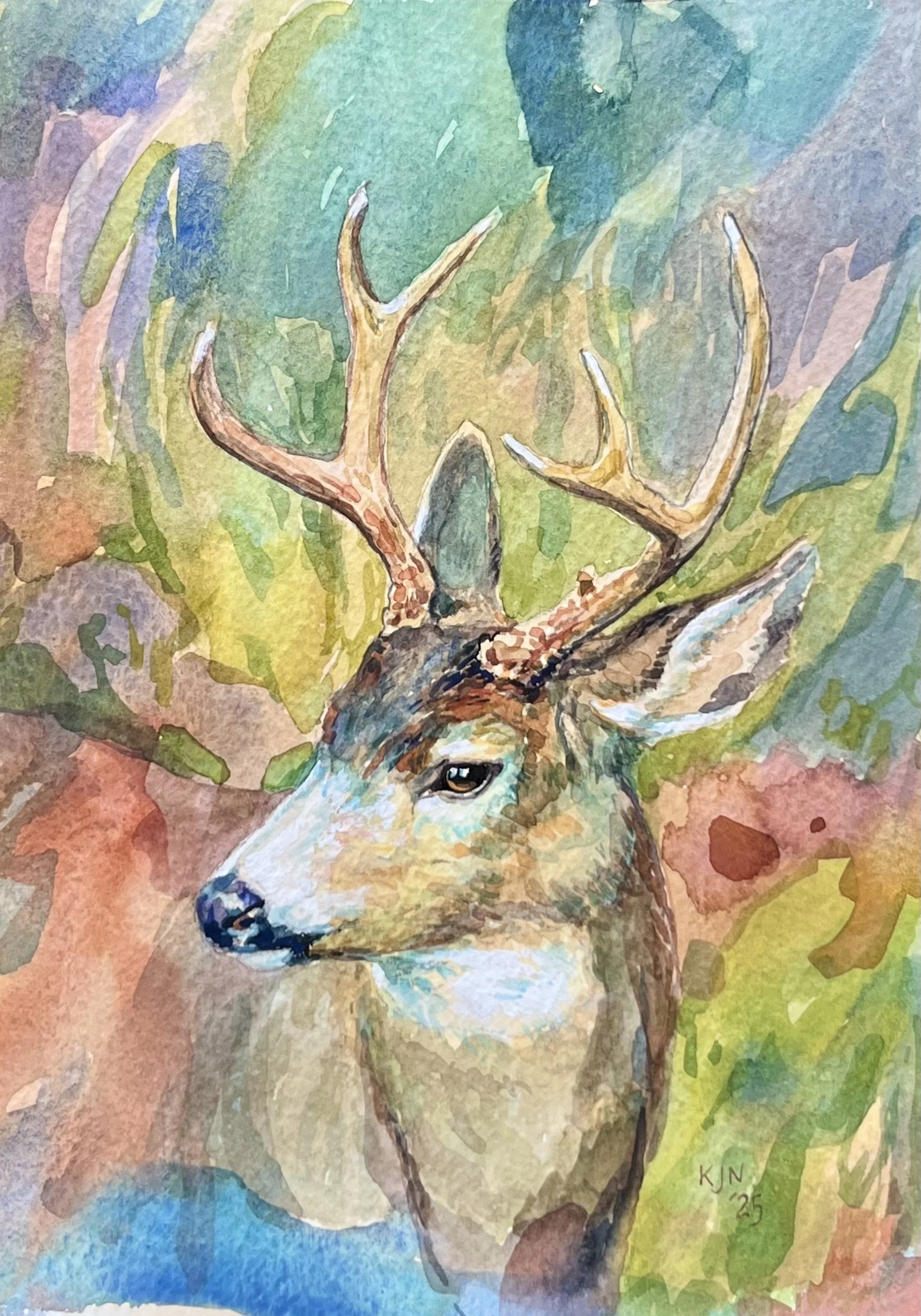 Deer // 2025 // Sold