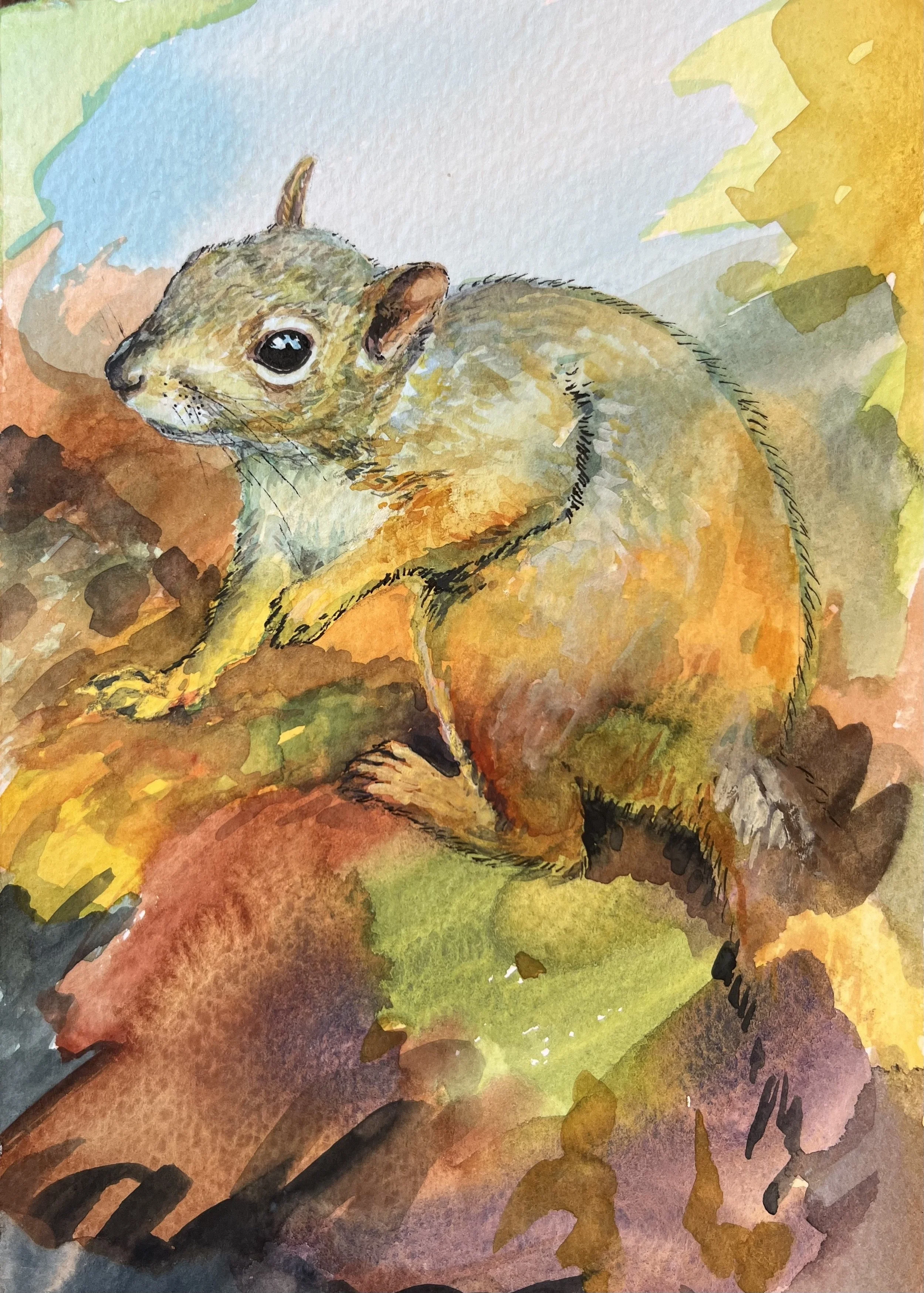 Grey Squirrel // 2025 // Sold