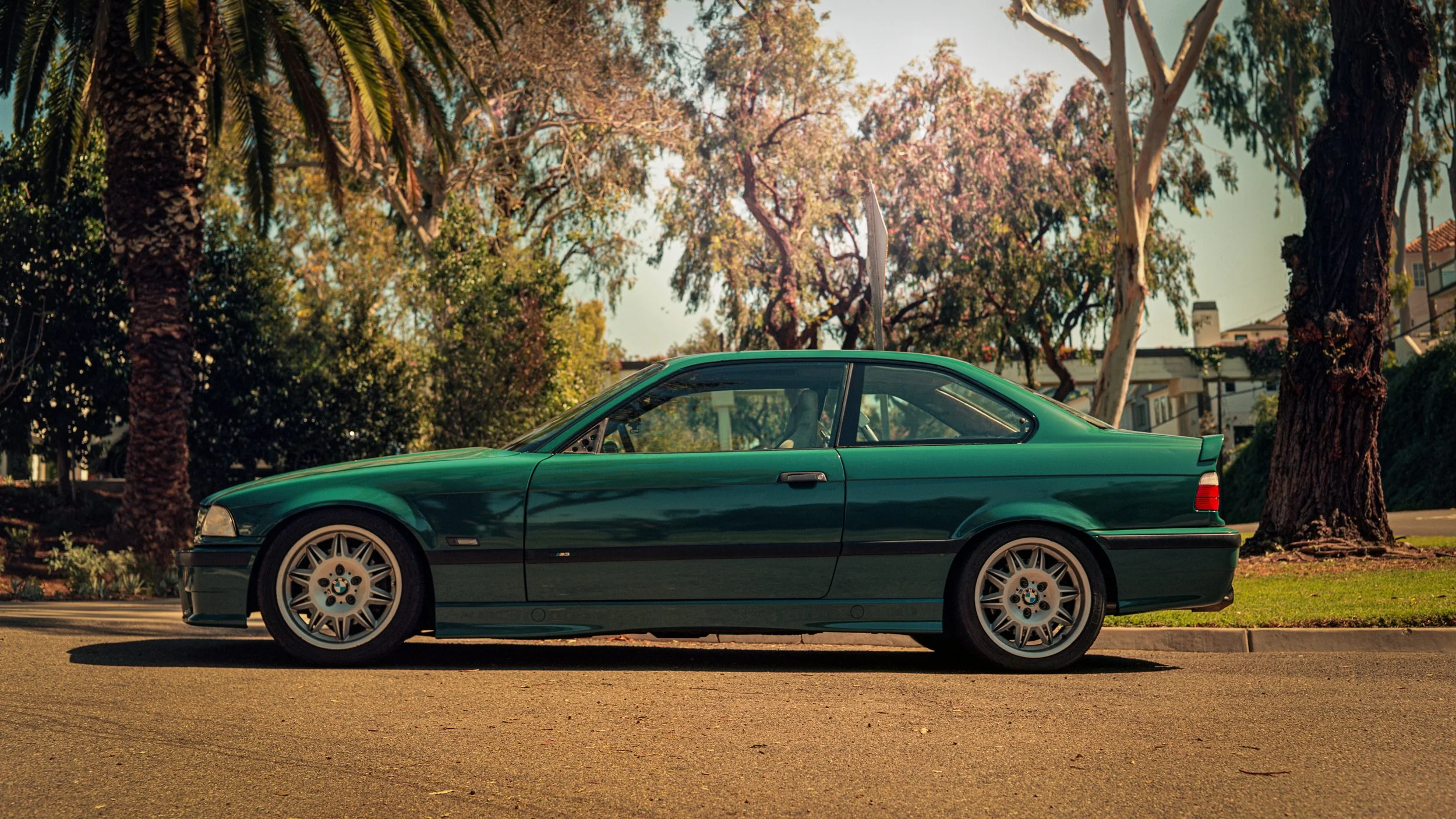 m3.jpg