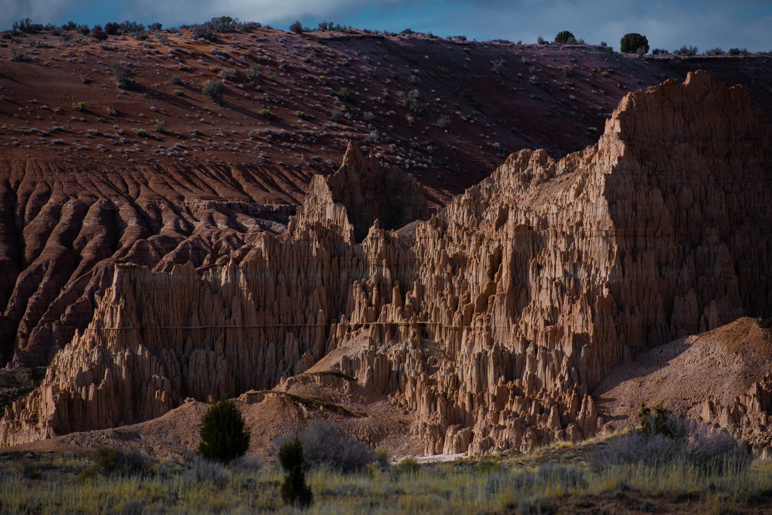 DSC_0454.jpg