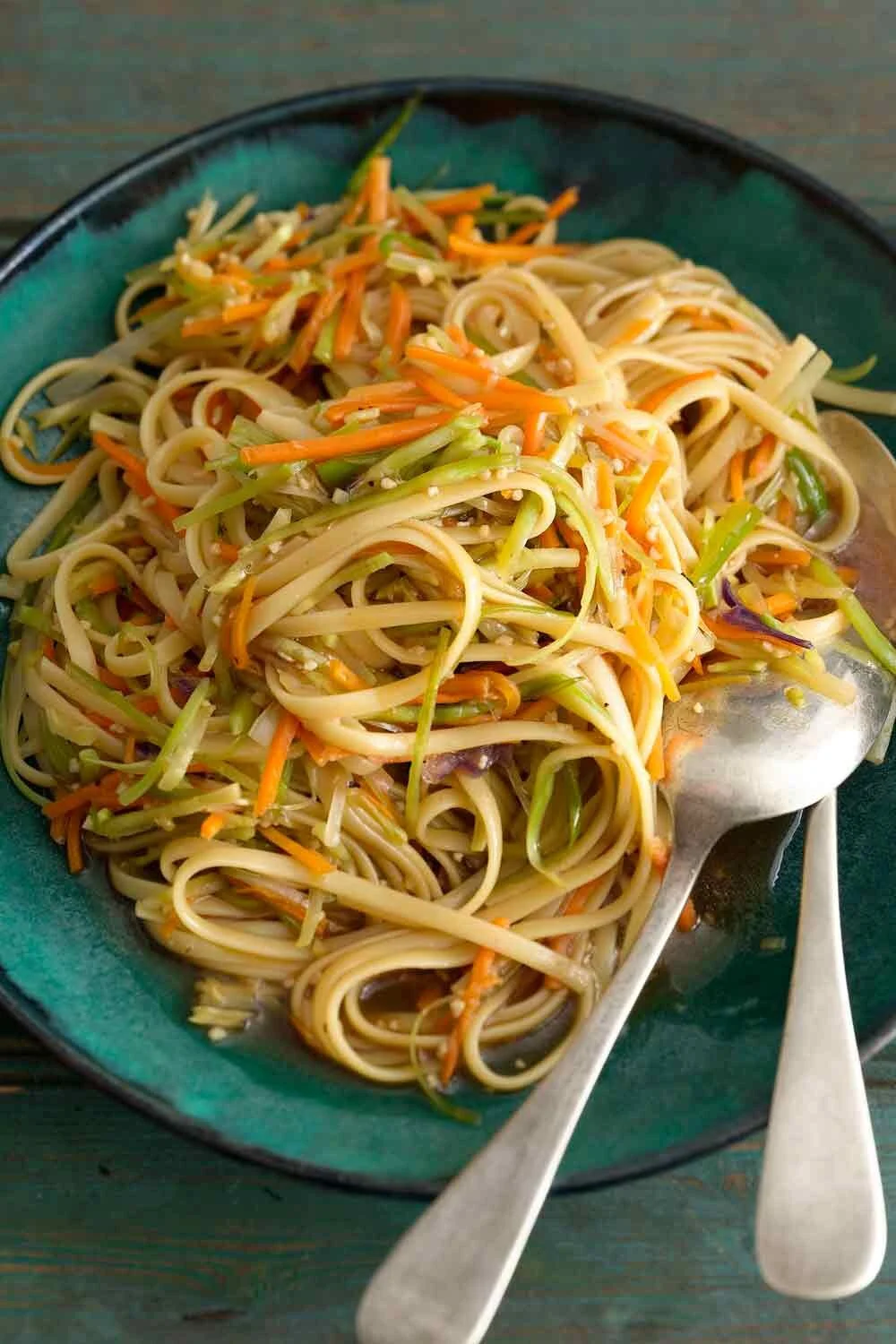 Saucy Lo Mein Noodles with Tri-Colored Vegetables