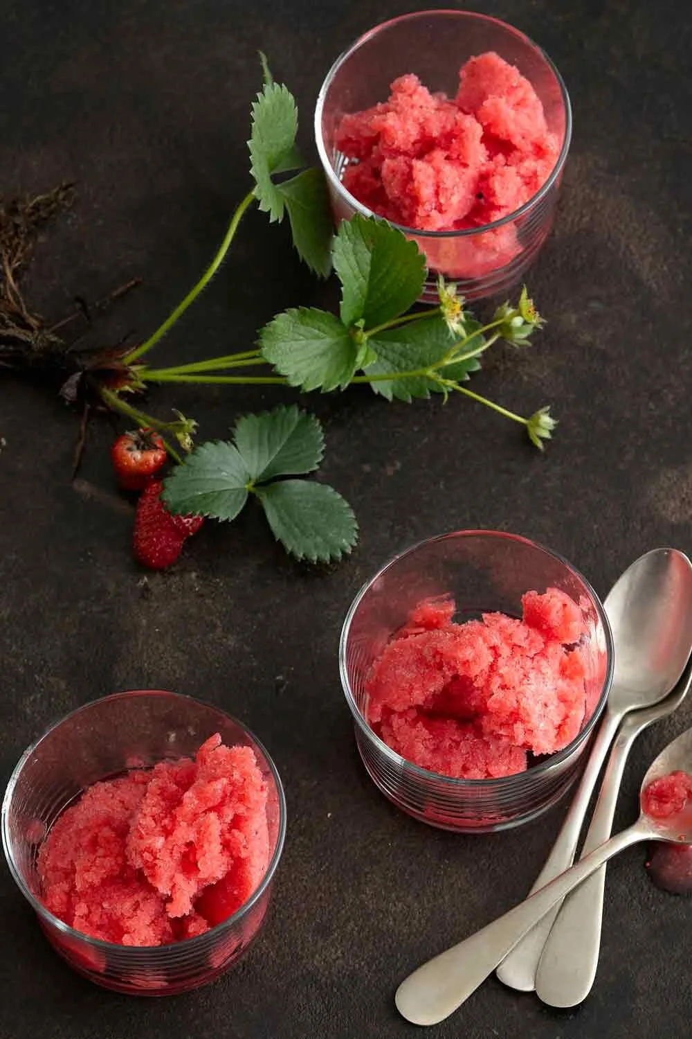 Strawberry and Plum Wine Granita