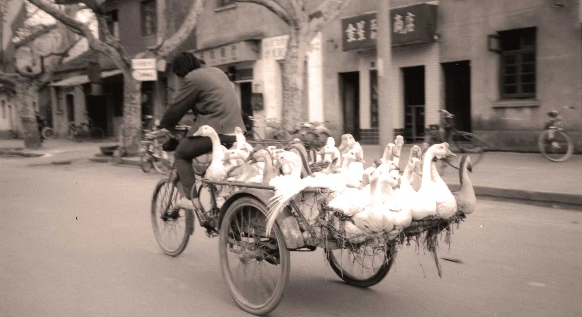 duckstomarket_blog.jpg