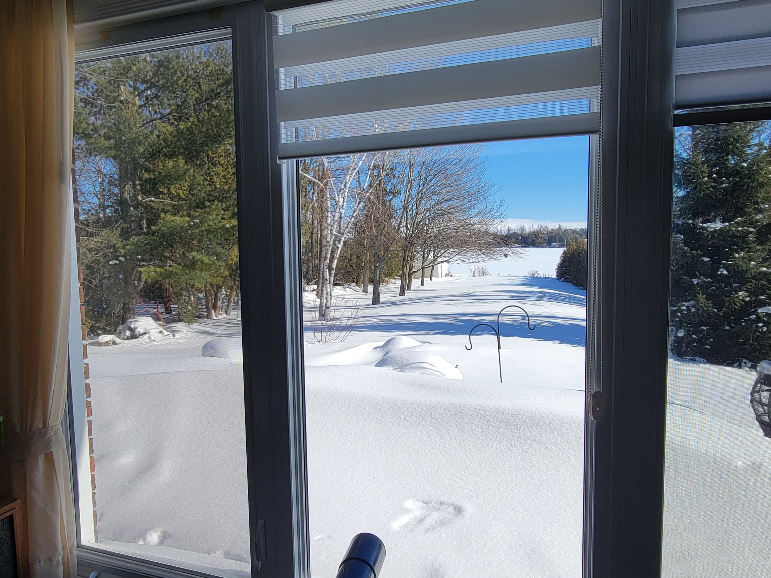 016 20260202_120314.jpg