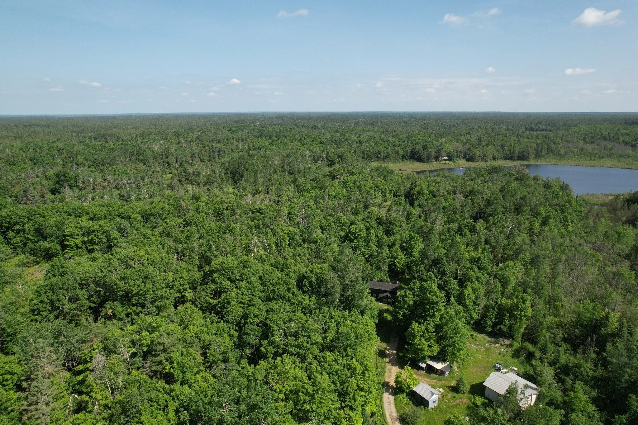 Privacy and nature abound at this 82-acre property in the heart of Minden, Ontario.
This 1.5 storey home tucked amongst the trees features two bedrooms, one half-bath, one 4-pc bath, vaulted ceiling living room, tidy kitchen, pantry, and main-floor l