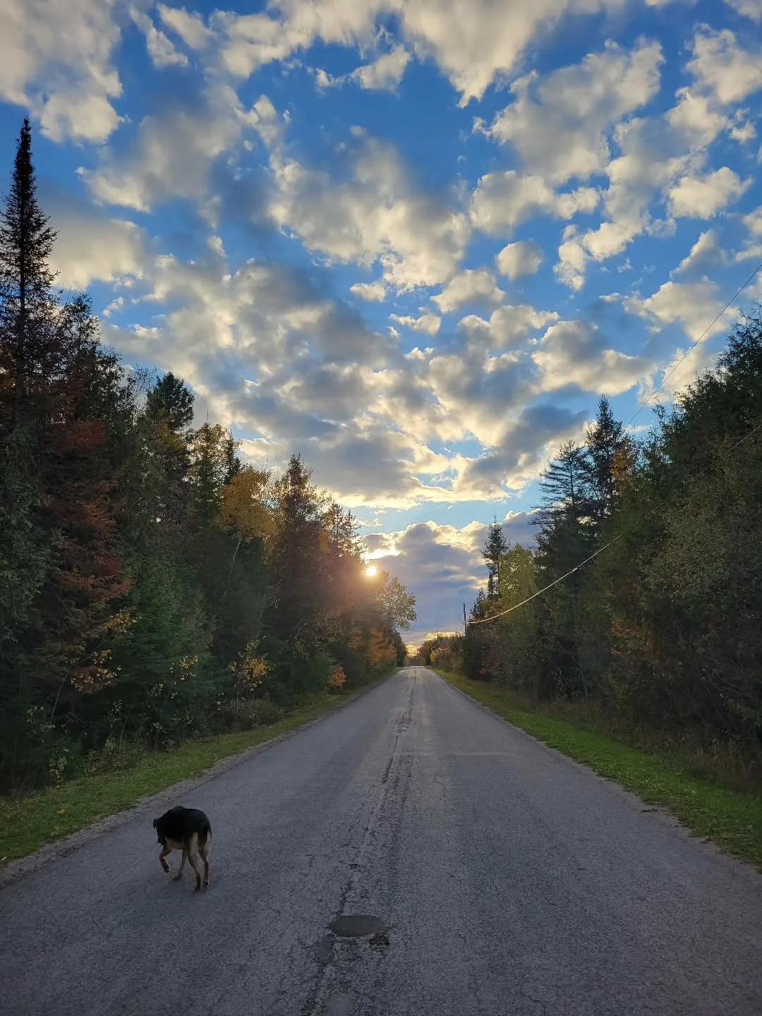 Best time of the year 🍂🎃