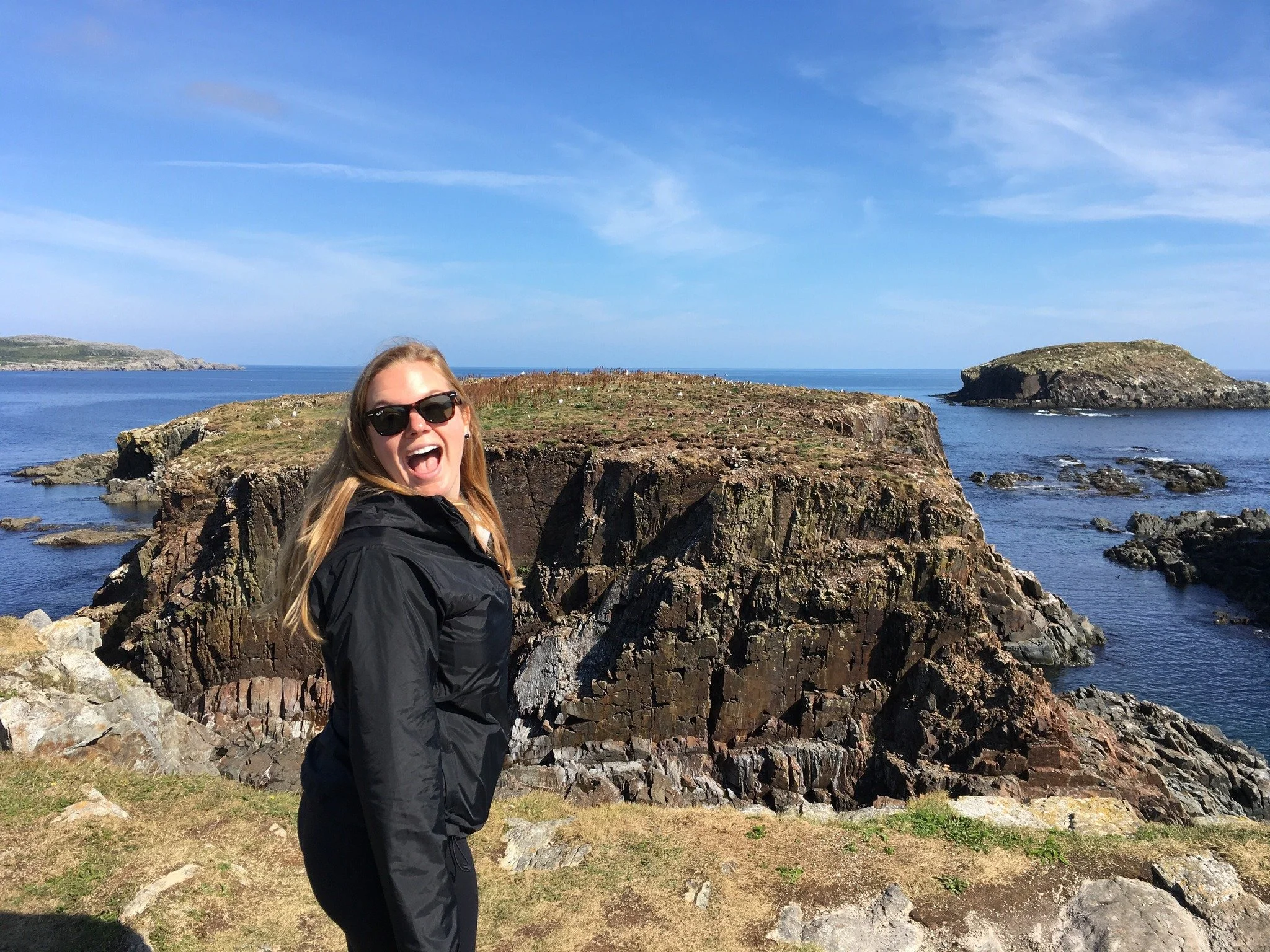 Its World Wildlife Day!

In 2018, Aaron and I took our first trip together. We went to Newfoundland, where my mother and her family are from, and where his dad currently lives. On our excursion around the bay we visited Elliston, a small fishing town