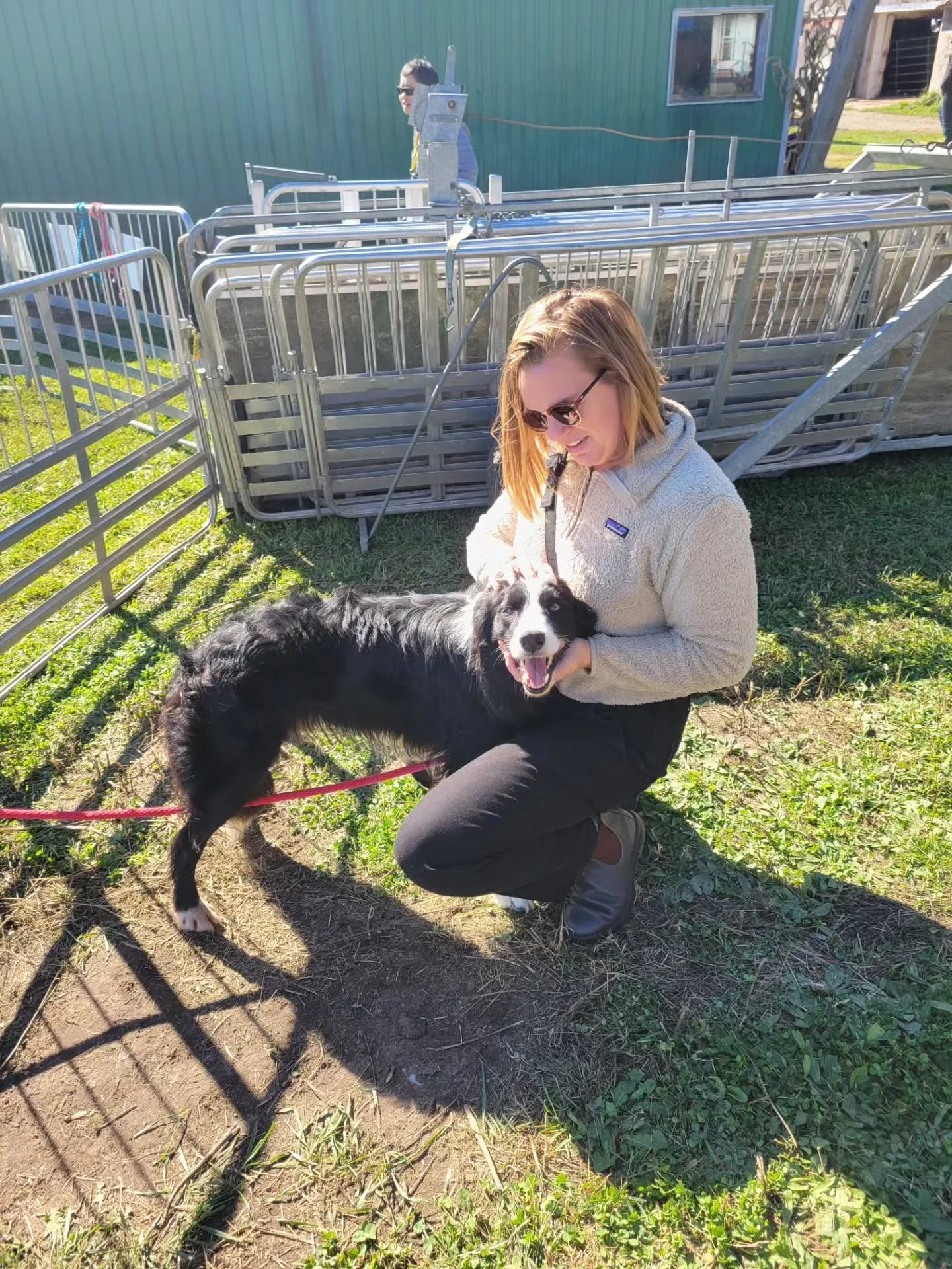 If you want attention from the sheepdog, wear your most sheep-like sweater 🐑

We had a friggin blast at Farmfest today. An hour of which was spent lost in the corn maze at McQuaids AND IT WAS GREAT.

Kawartha Lakes really shines in the fall 🍂🤎