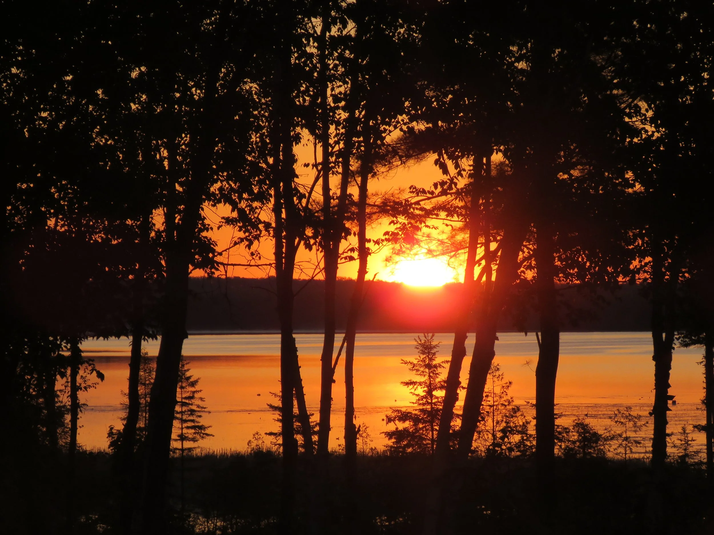 Mitchell Lake — The Langes Kawartha Real Estate