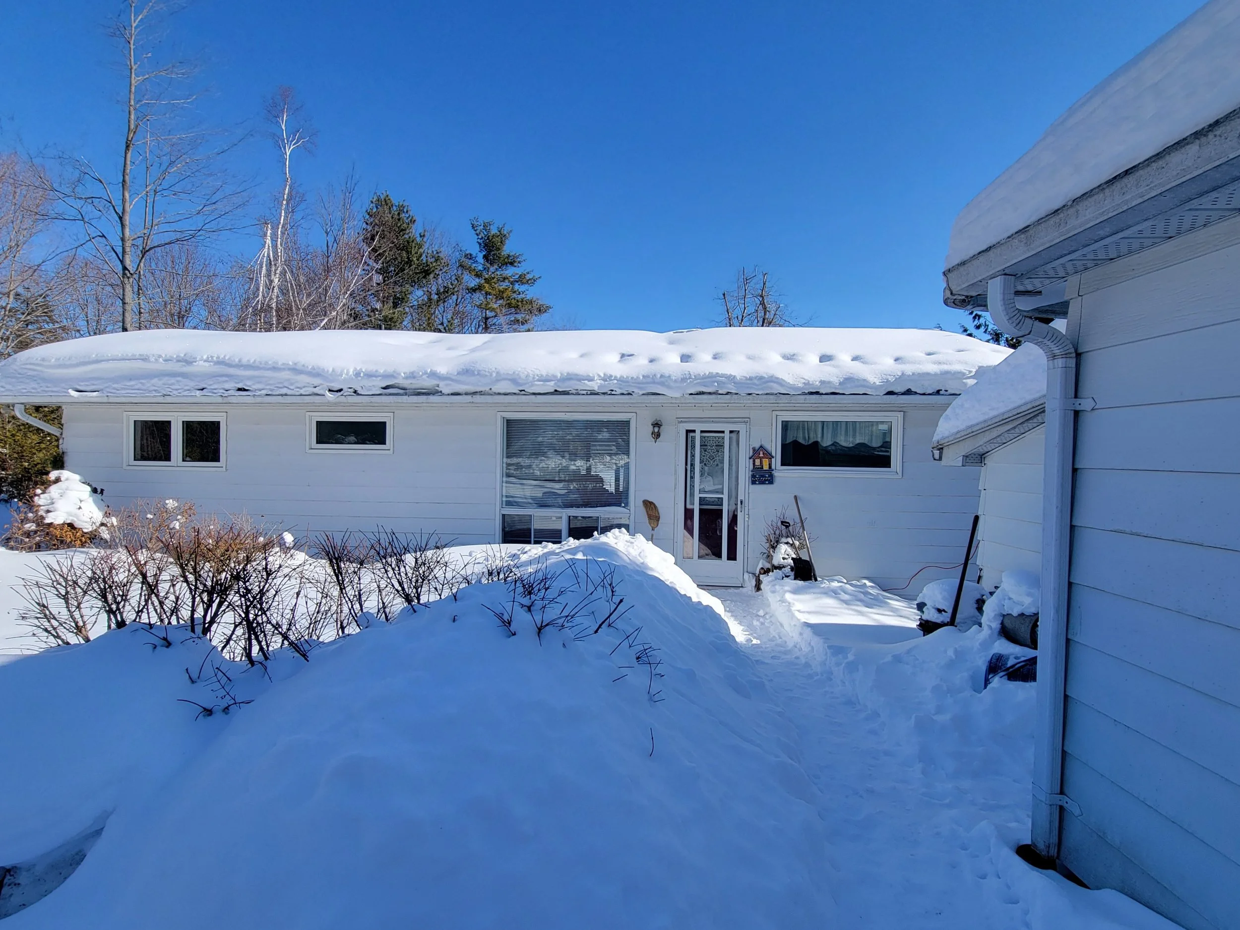 006 20260202_122318.jpg