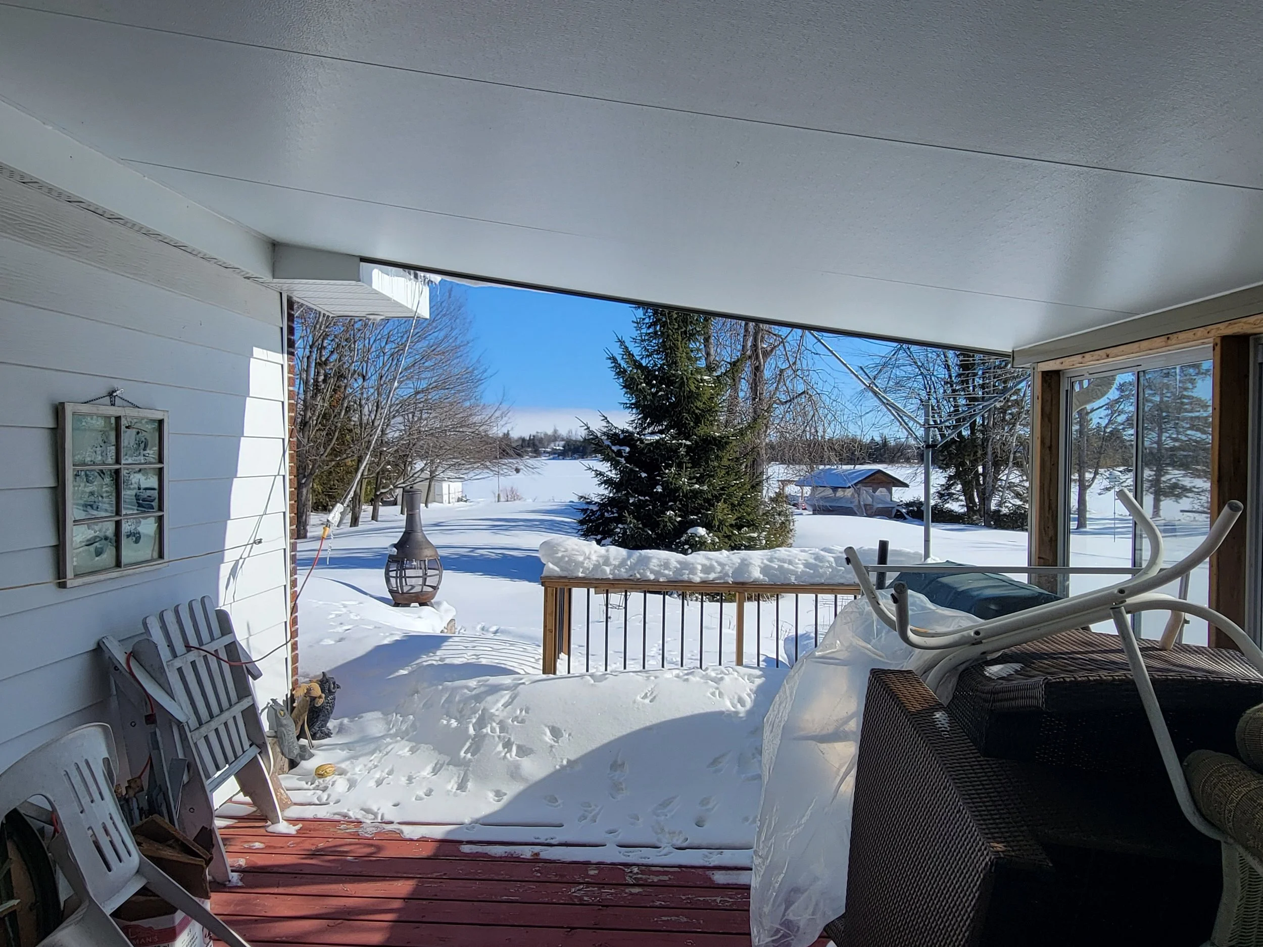 011a 20260202_115854.jpg