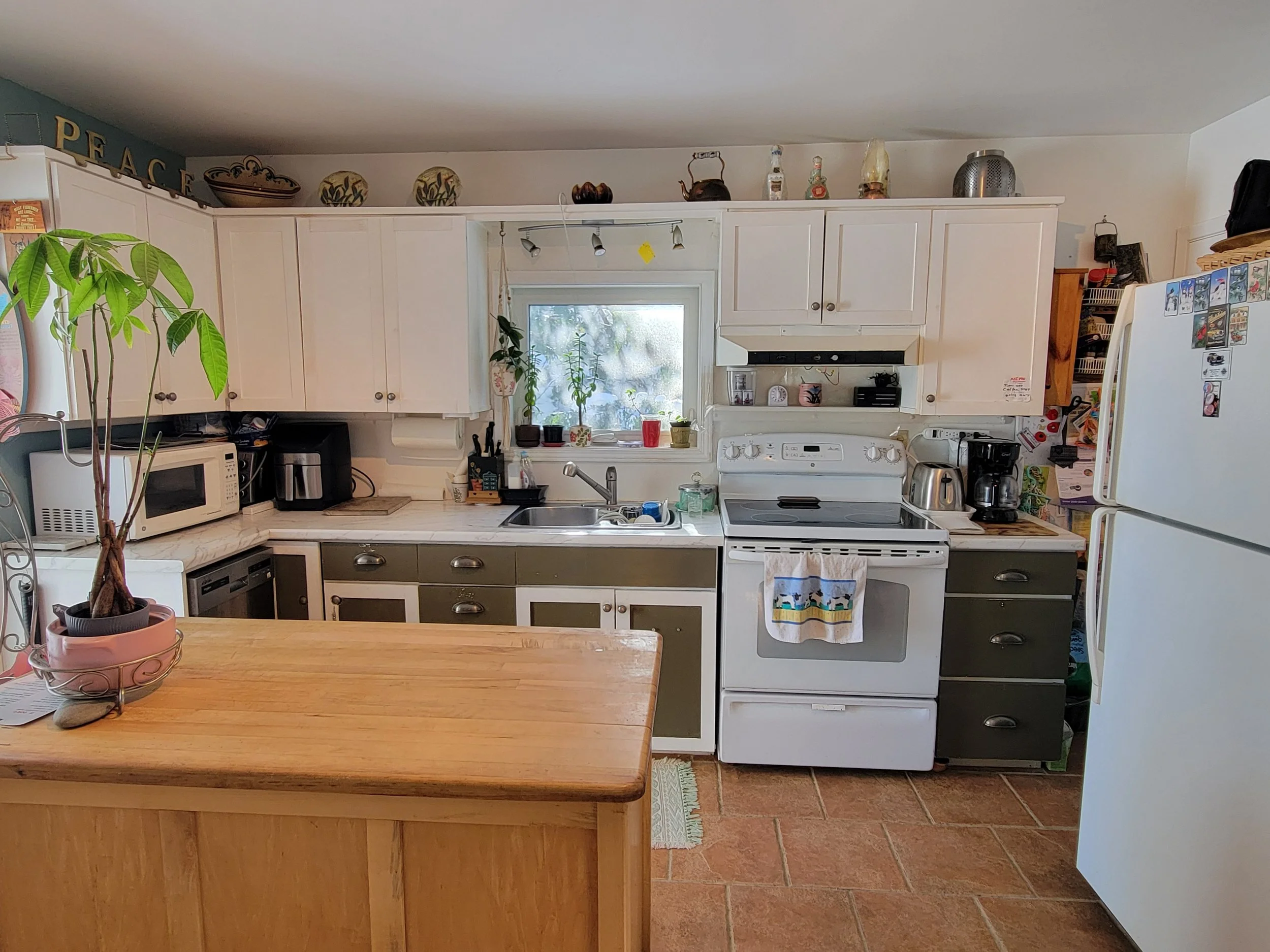 010 20260202_115556.jpg