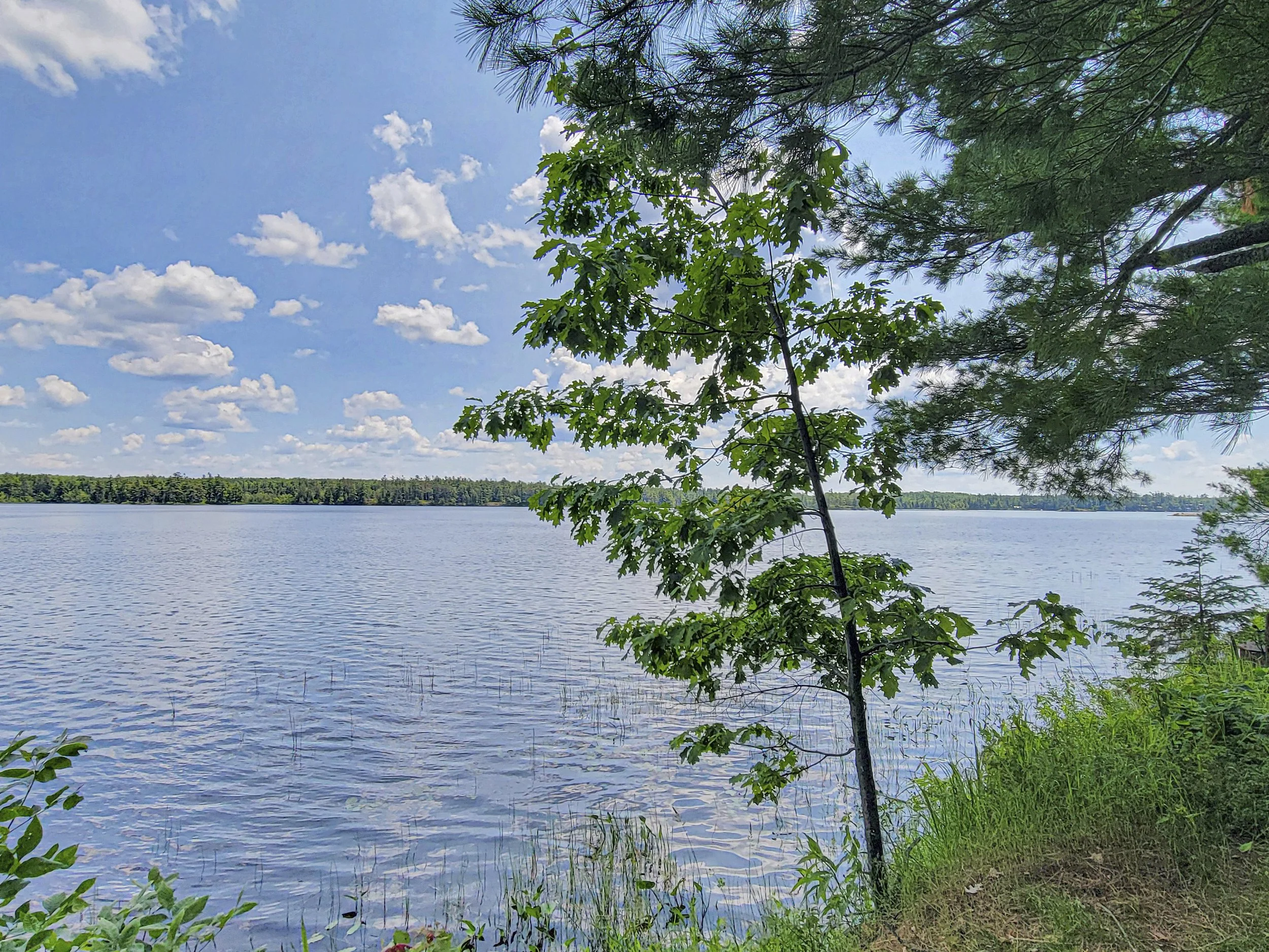 006 20260628_130645.jpg