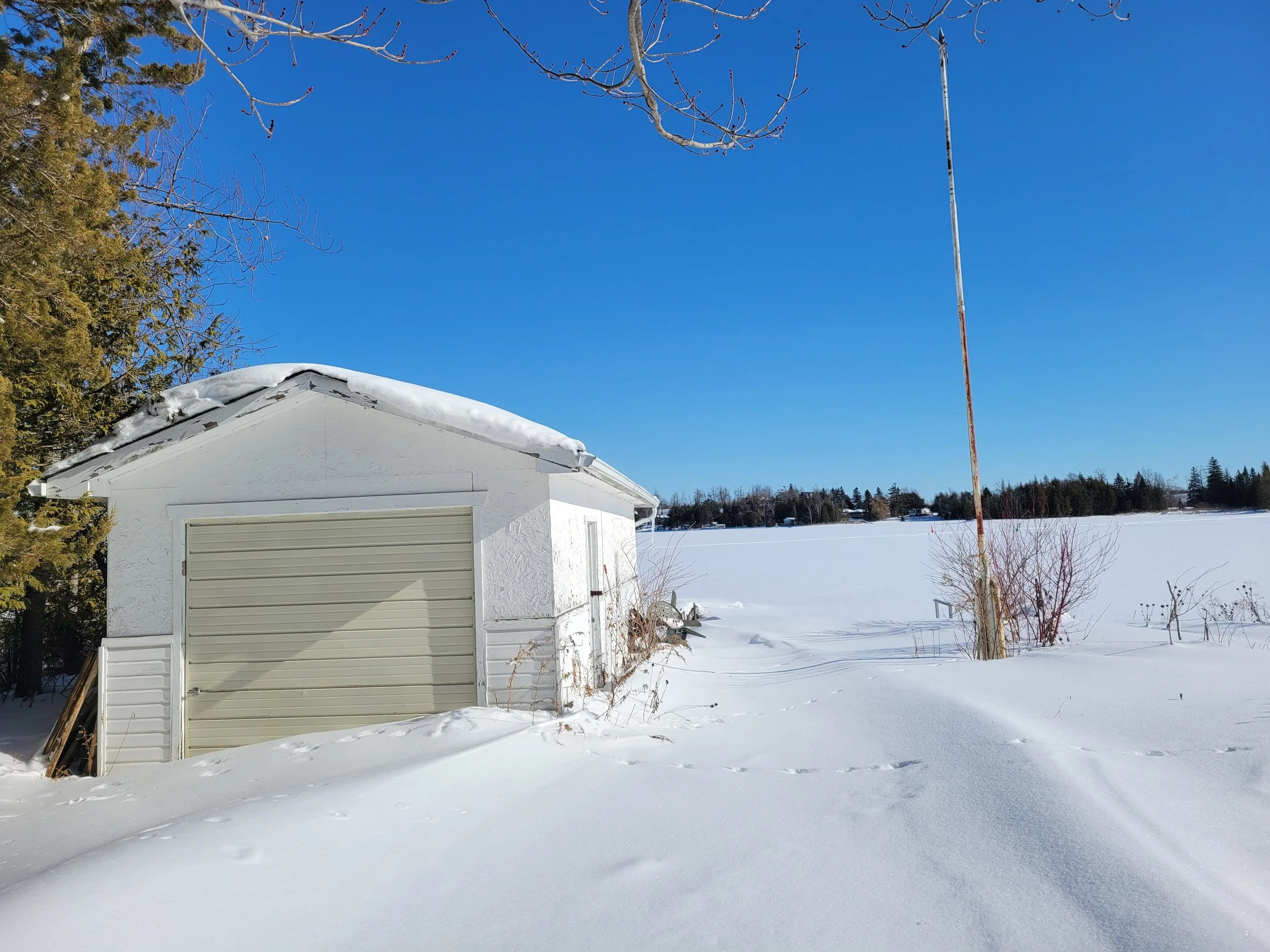 028 20260202_124619.jpg