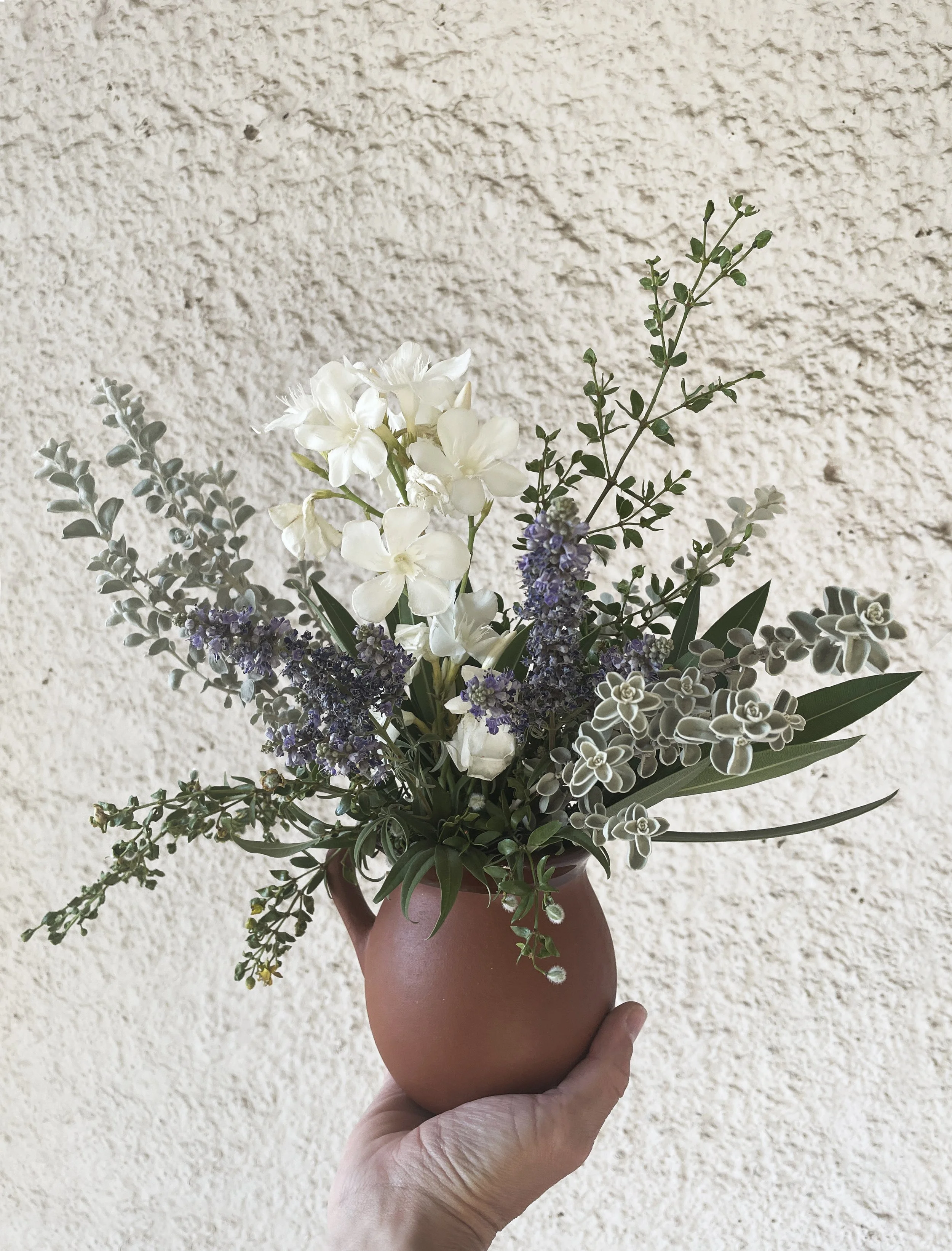 oleander1_edit.jpg