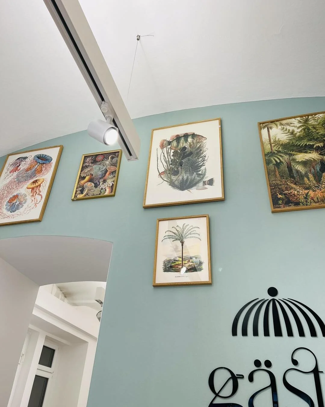 Kennt ihr schon unsere farbenfrohen Kunstdrucke mit Eichenholzrahmen? Entdeckt jetzt alle Motive in der DurchReise 🌺 #print #decor #interieur #oakframe #art #withlove #durchreise #storytelling #frame #linz #linzercity #upperaustria #austria