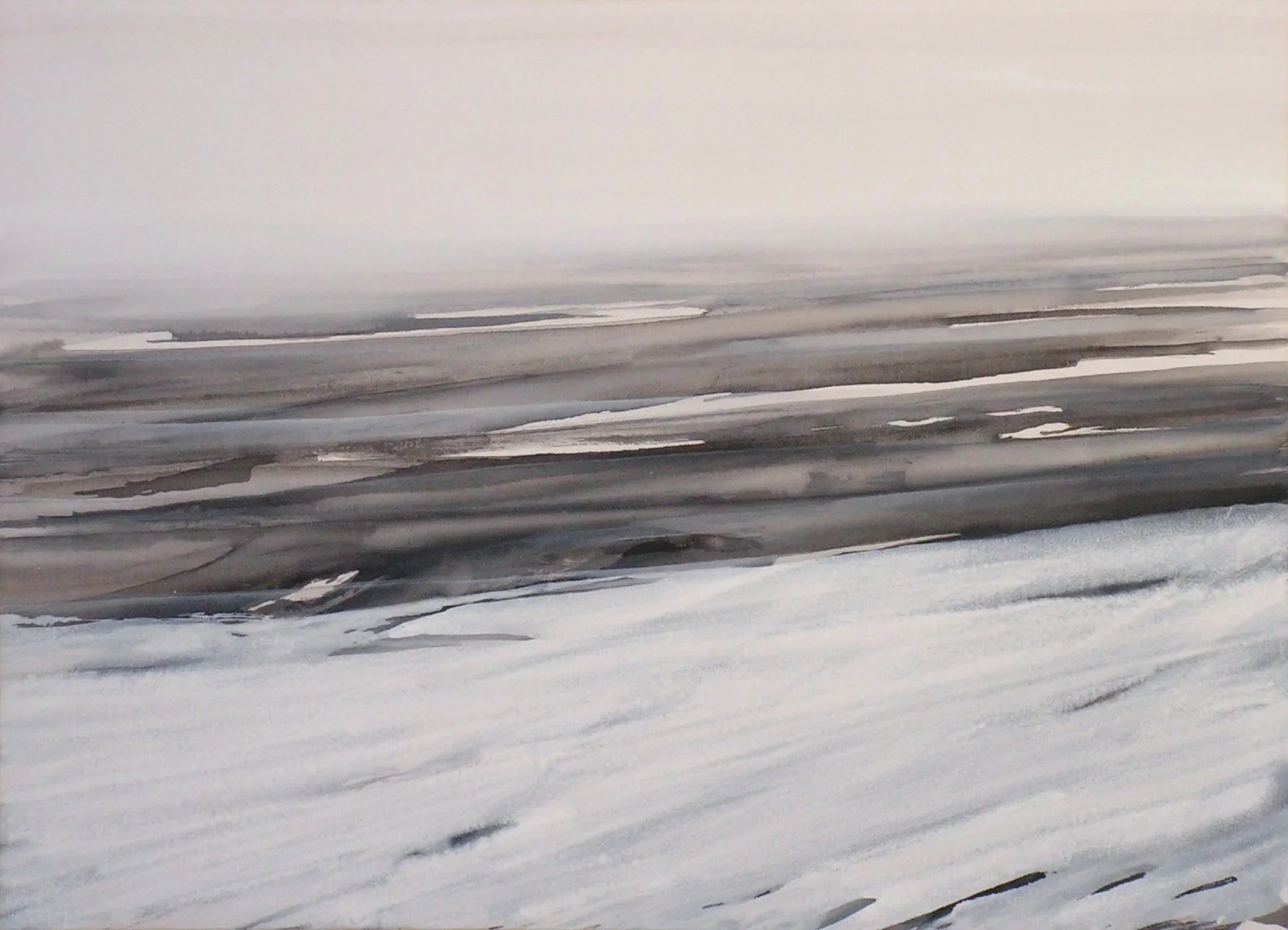  Schneetang (Snow kelp), 2005 80 x 110 cm, Indian ink, canvas 