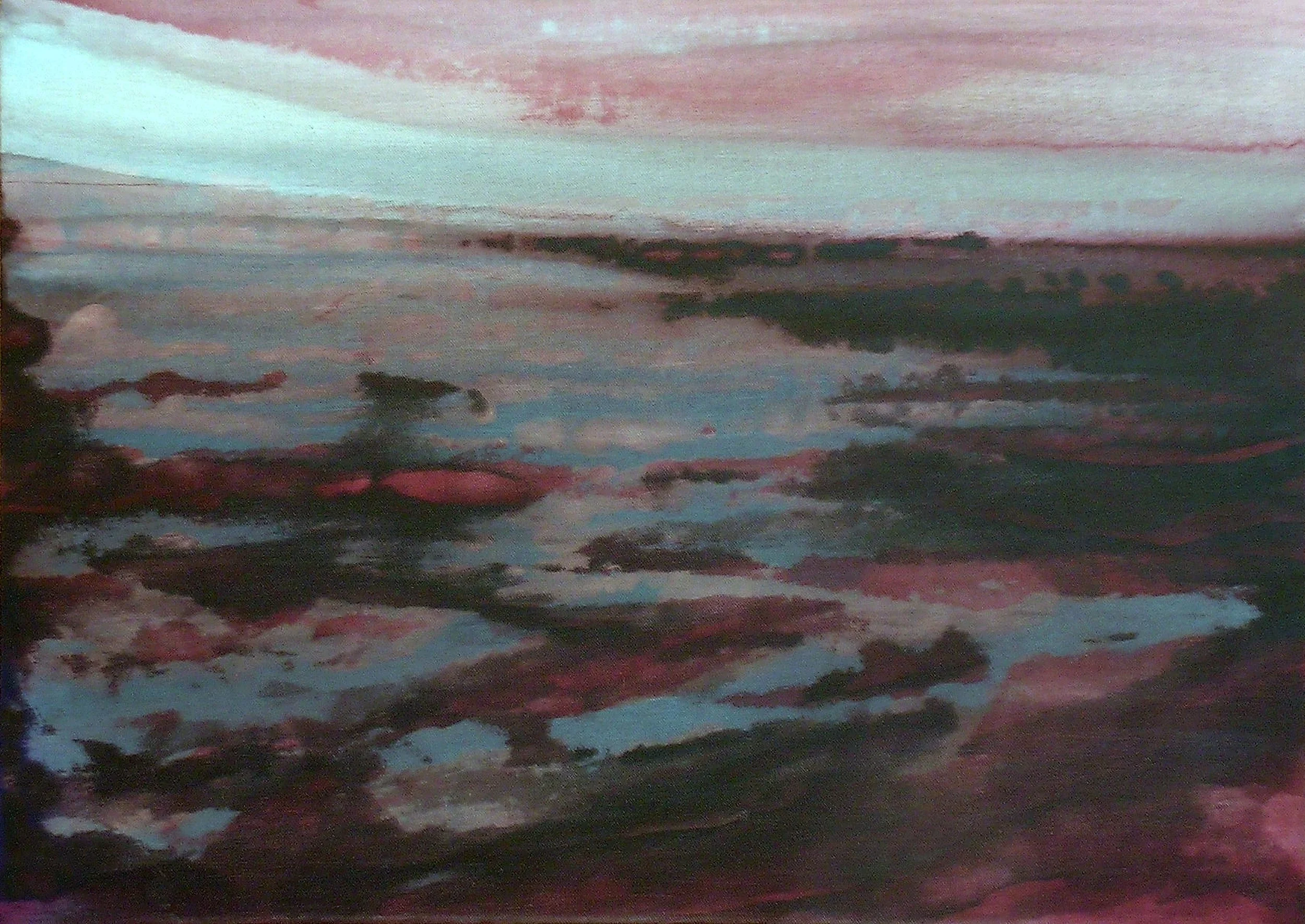  Reisetagebuch (Itinerary, Sweden), 2005 50 x 70 cm, Indian ink and wood stain on canvas 