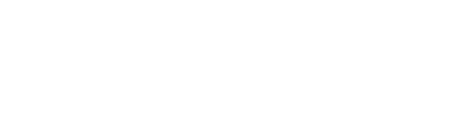 Bowlin Travel Centers, Inc. 