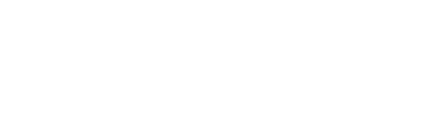 Bowlin Travel Centers, Inc. 