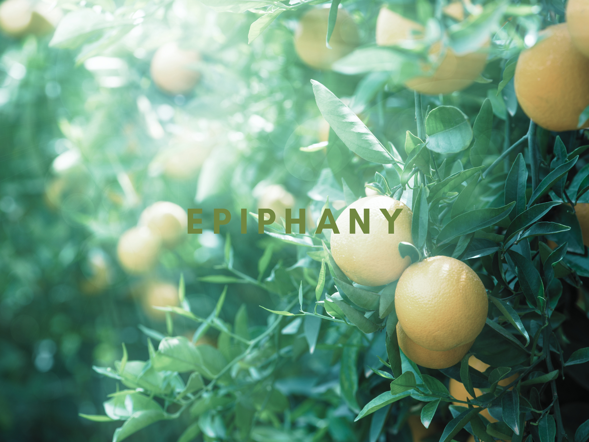 House Church Liturgy | January 28th