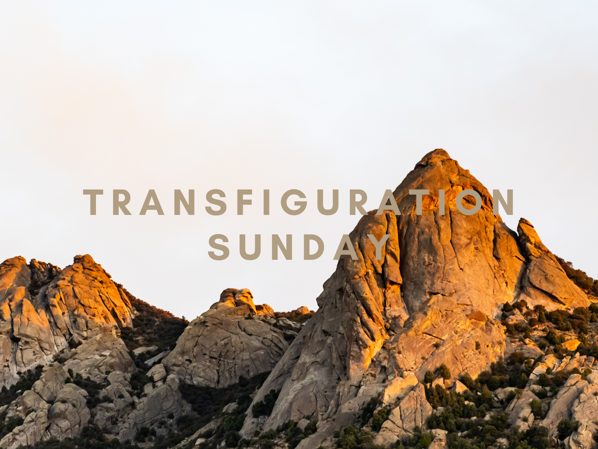 House Church Liturgy | February 11th