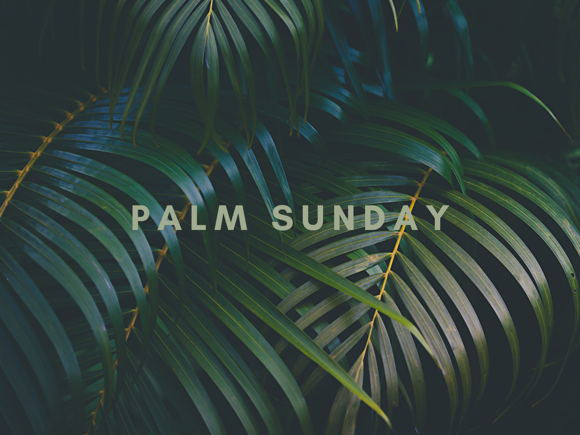 House Church Liturgy | March 24th