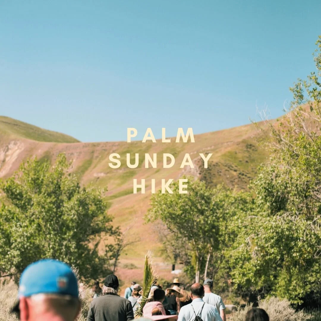 We are starting Holy Week in a simple and meaningful way with a Palm Sunday Hike.

We will take a short walk together at Wind Wolves Preserve and remember Jesus&rsquo; triumphal entry into Jerusalem. He came riding on a donkey, welcomed by people wav