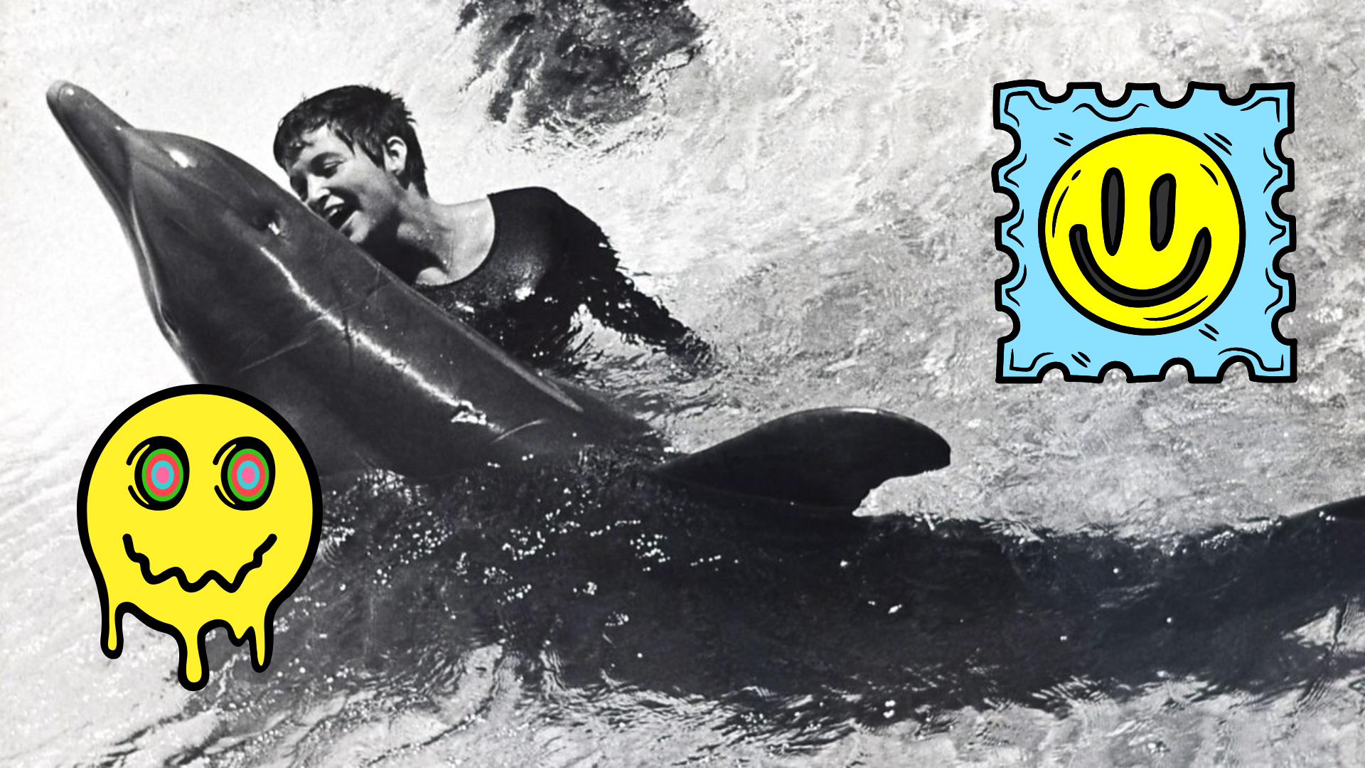 The Dolphin That Died of a Broken Heart: Inside the LSD-Fueled Dolphin House Experiment