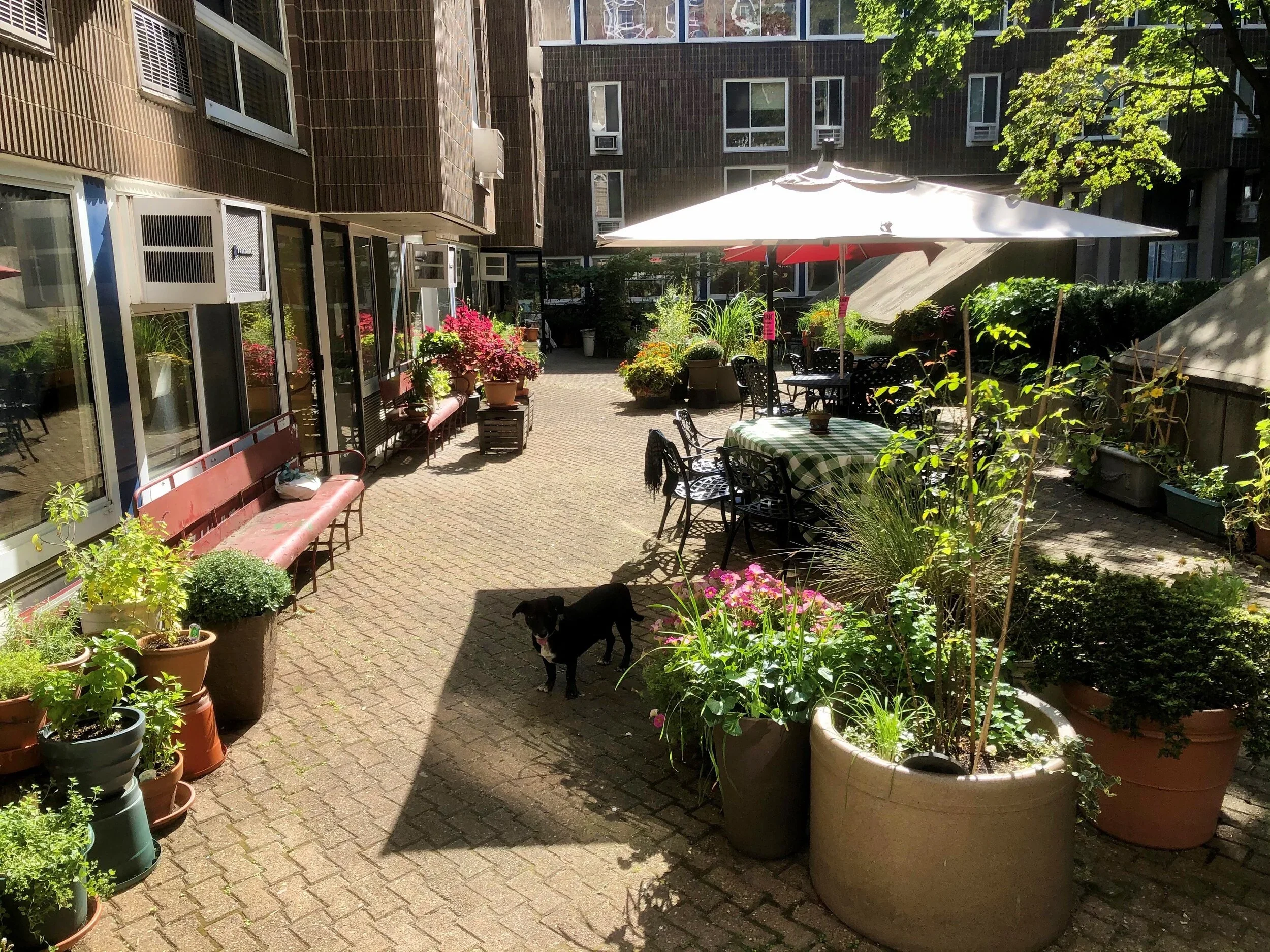 Seminar at Carter Burden Roosevelt Island Older Adult Center