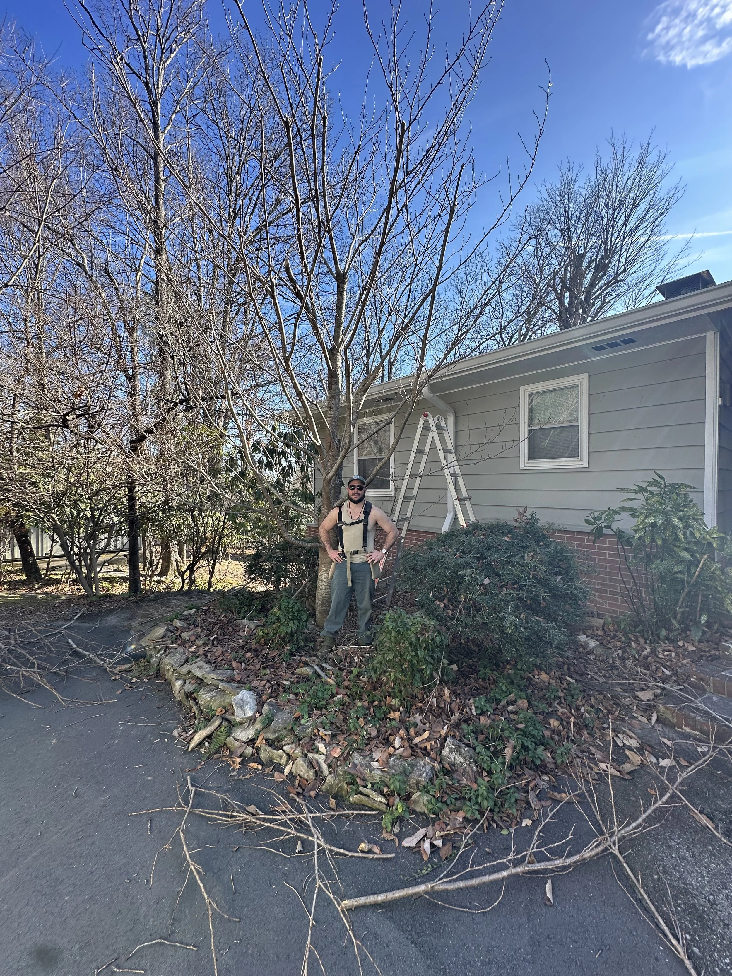 Luke Costlow performing careful winter pruning on a residential tree in Hendersonville, North Carolina