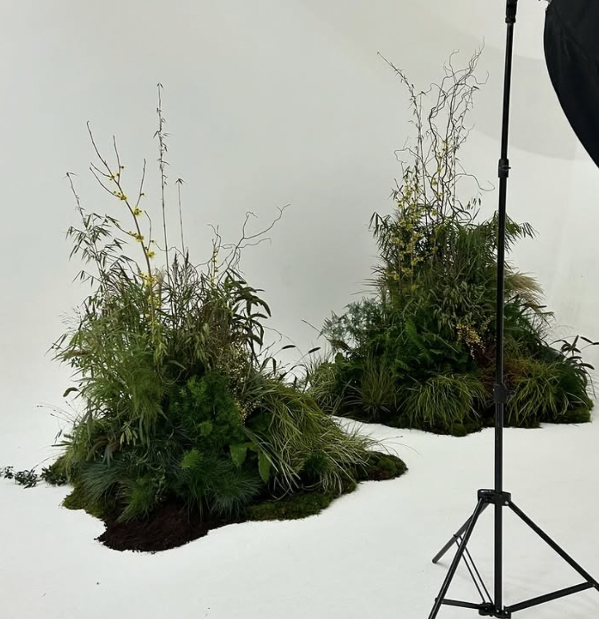 Screenshot 2025-11-06 at 3.22.22 PM.png