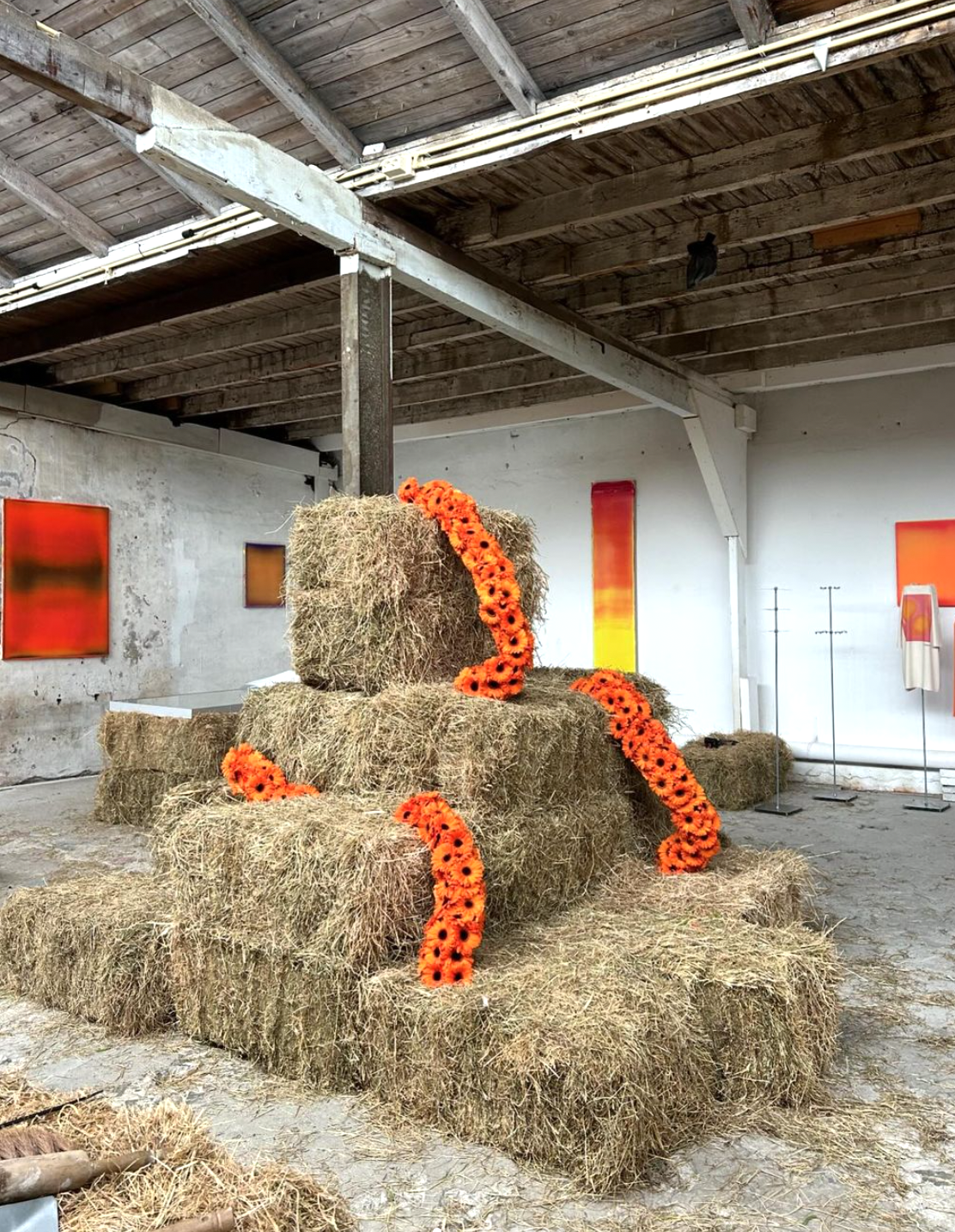 Screenshot 2024-10-14 at 12.09.43 PM.png