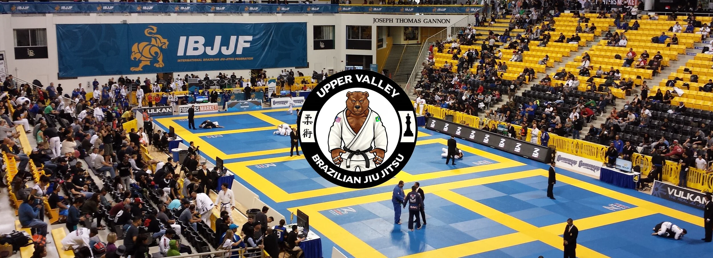 ibjjf_newbear.jpg