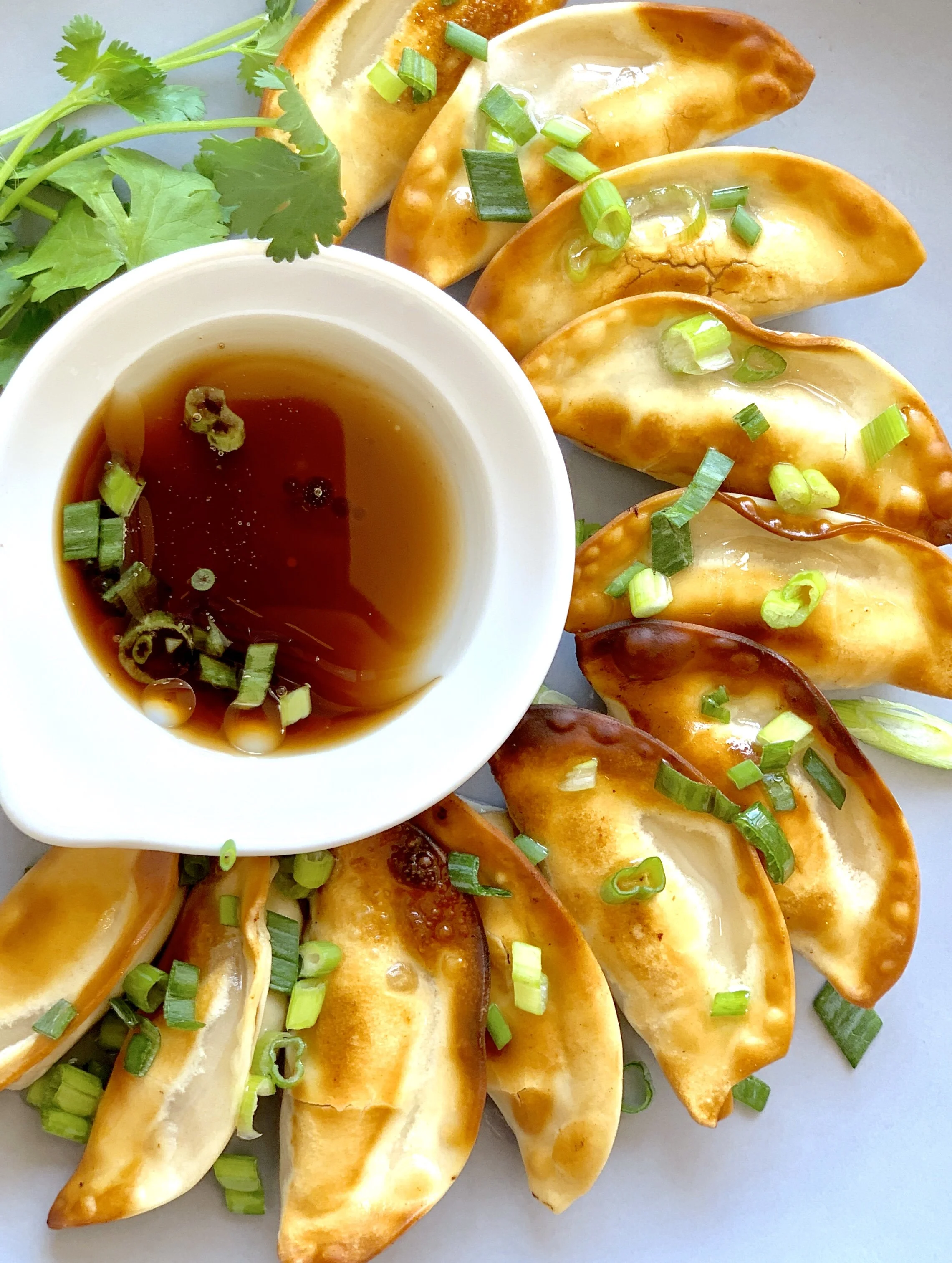 Kids Dumpling Workshop Cooking Class at Food Lab Boulder