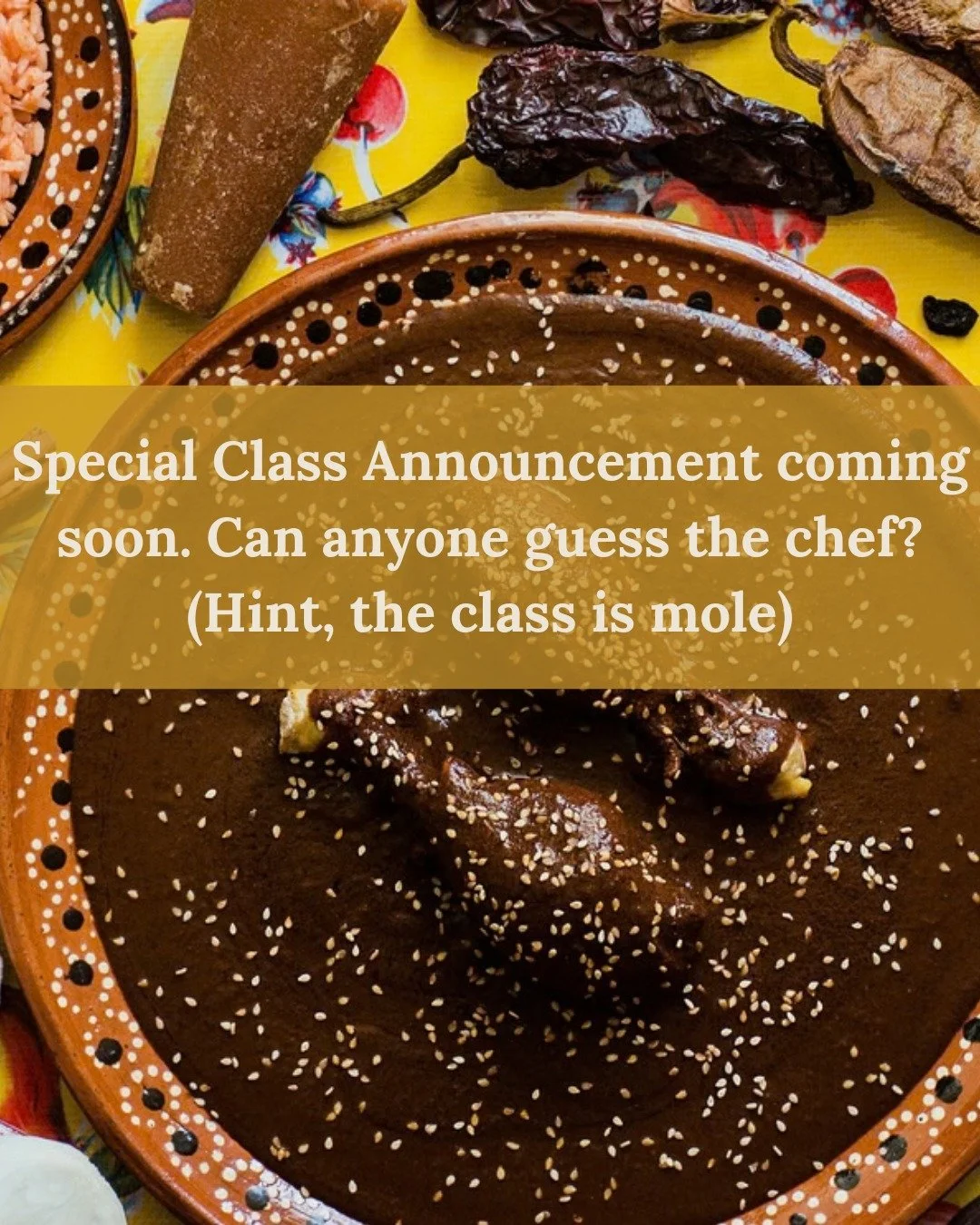 Looking forward to letting the cat out of the bag  on this one. Guess below, class announcement officially Monday!