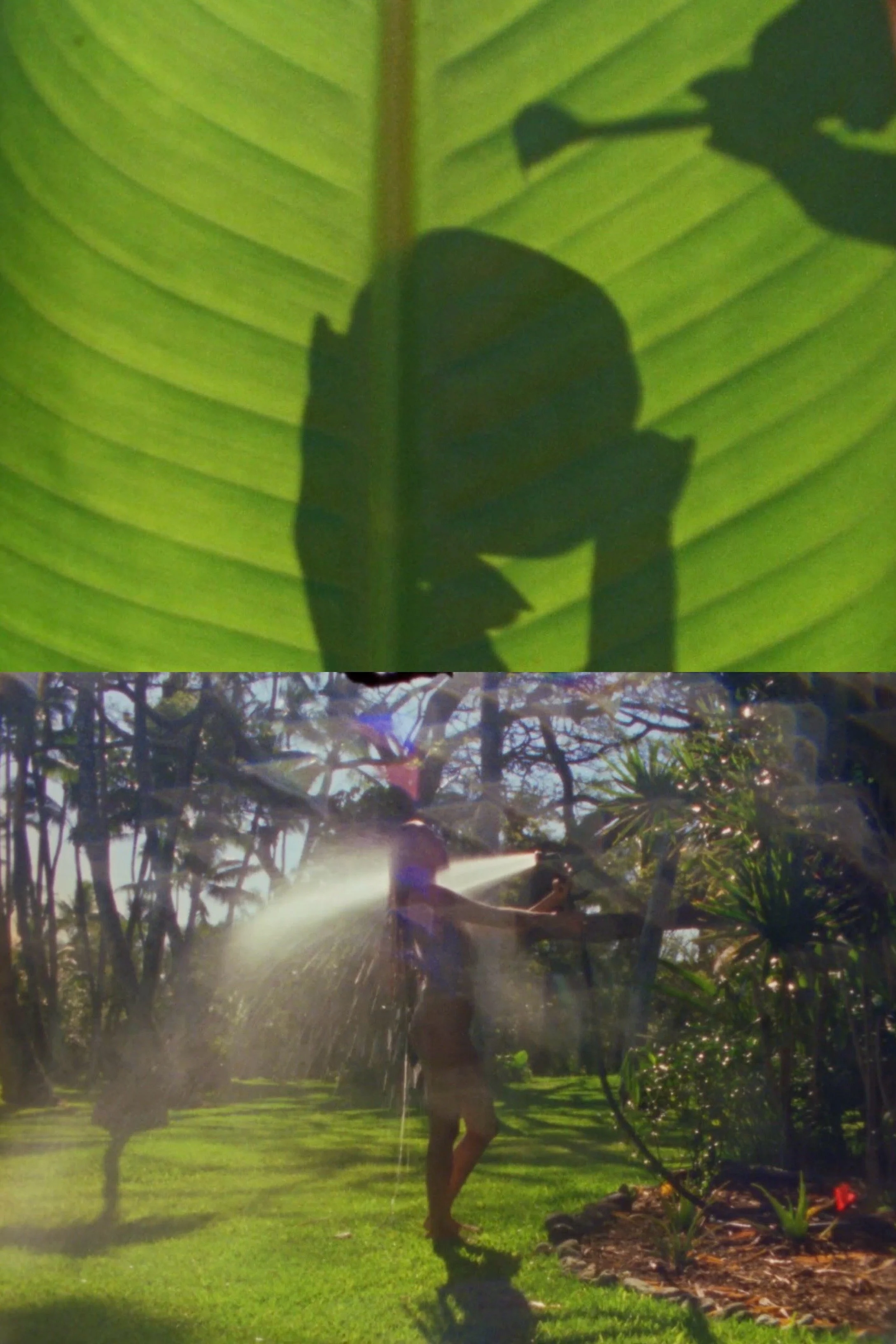 Tatcha / Maui